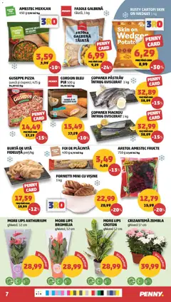 Ofertele PENNY valabile de la 21.10.2026 | Pagină: 7 | Produse: Bromelia, Pui, Ghiveci, Pizza
