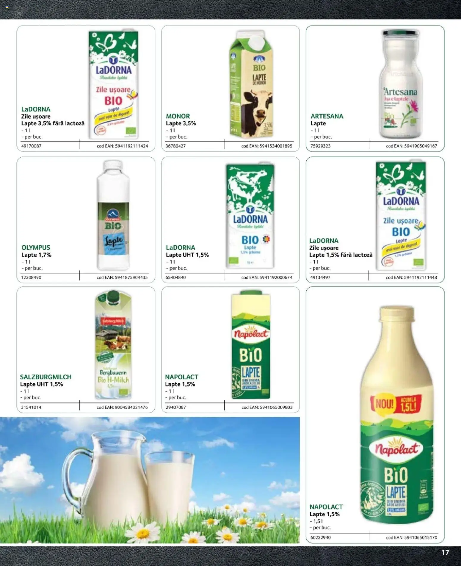 Noul catalog Selgros – valabil de la 09.02.2024 | Pagină: 17 | Produse: Lapte
