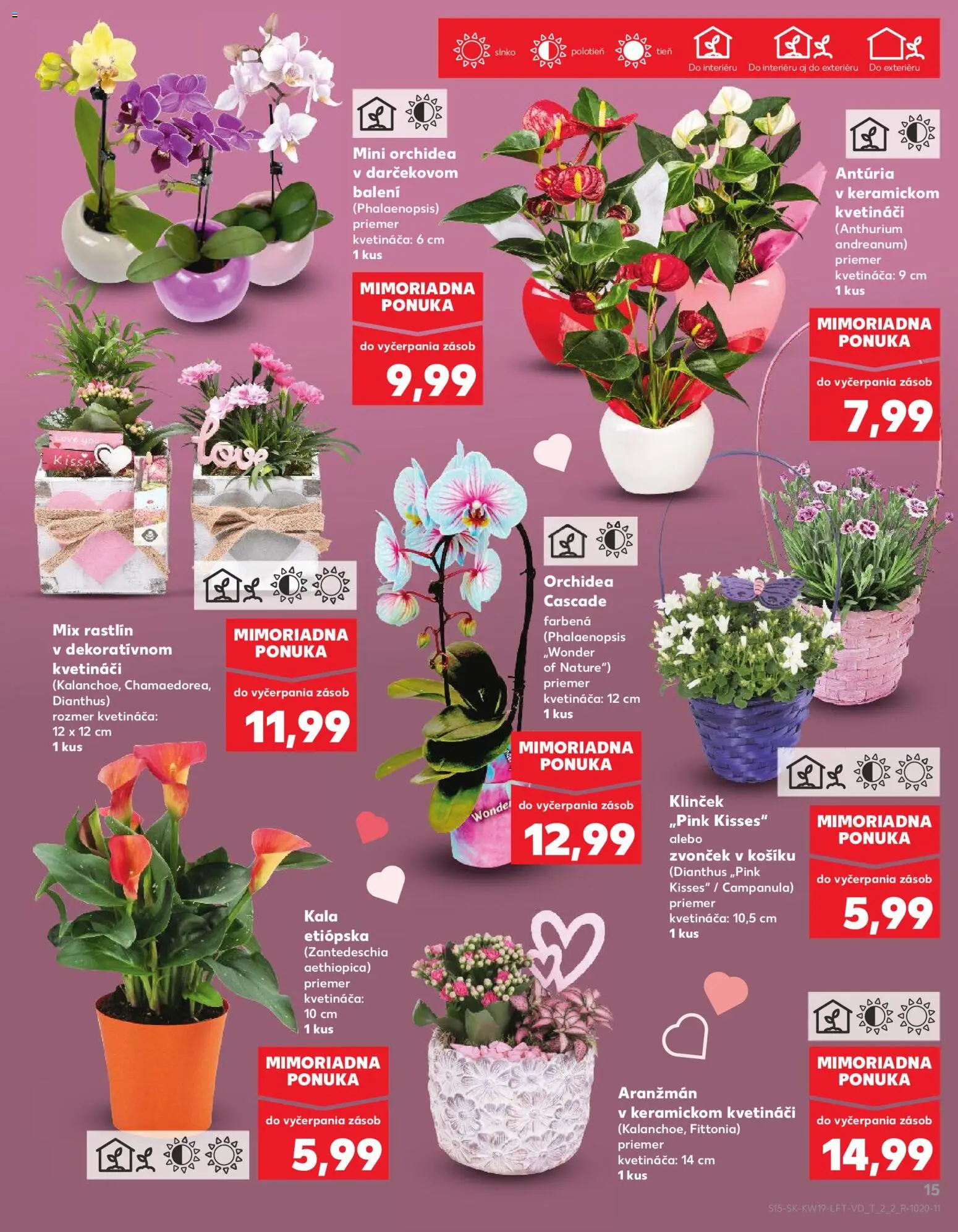 Kaufland SK akciós ujság - amely érvényes a következő dátumtól: 07.05.2026 | Oldal: 15 | Termékek: Orchidea