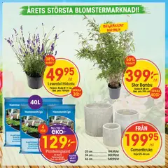 EKO erbjudanden - Förhandsvisning av reklamblad från butik EKO aktuell från 18.05.2026 | Sida: 3 | Produkter: Lavendel, Planteringsjord, Kruka