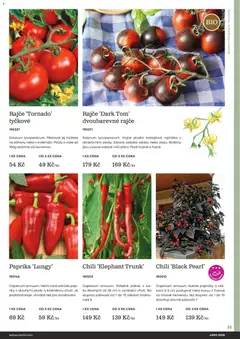 Náhled letáku Starkl katalog Jaro 2026 od 25.02.2026 | Strana: 33 | Produkty: Paprika, Zelenina, Rostliny