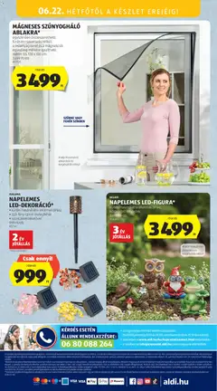 Aldi Középső sor termékei - amely érvényes a következő dátumtól: 18.06.2026 | Oldal: 21 | Termékek: Szőlő, Szúnyogháló, Óra, Dekoráció