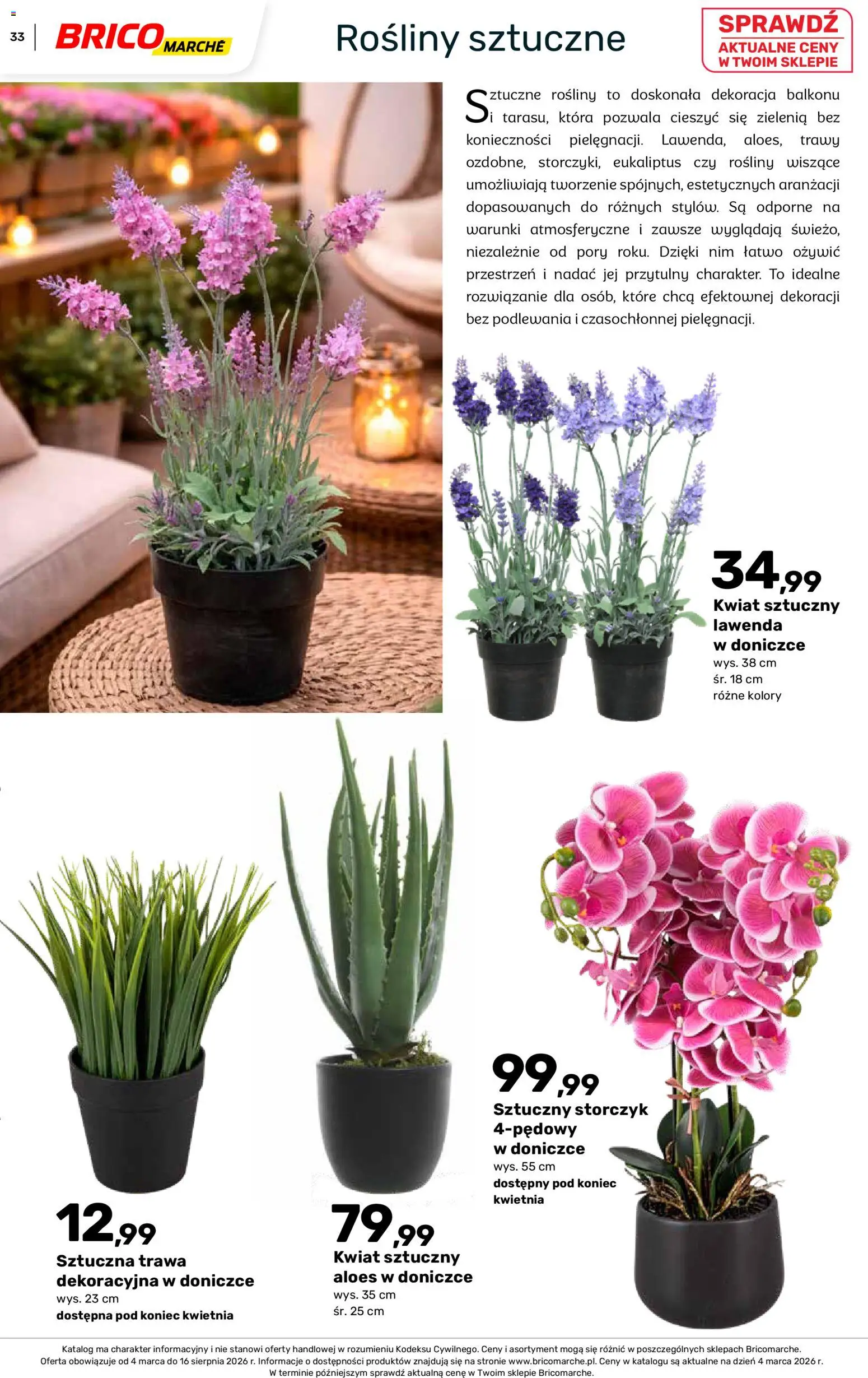 Brico Marché gazetka - Wiosna od 04.03.2026 | Strona: 33 | Produkty: Trawy, Aloes, Rosliny, Storczyk