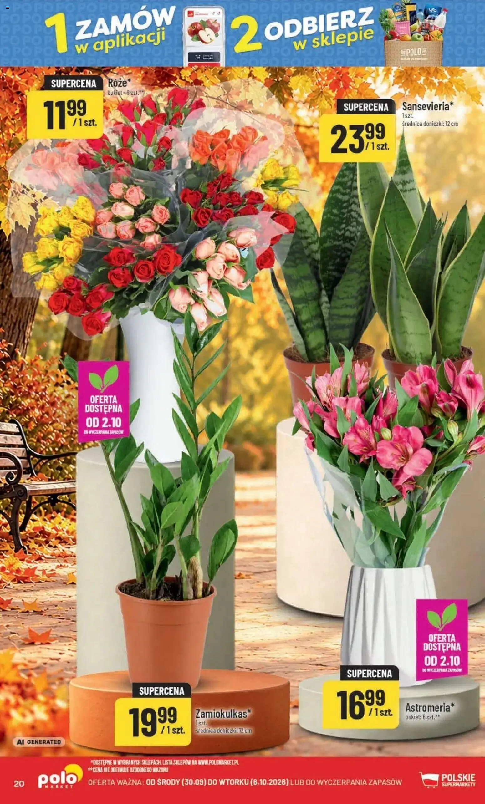 Nowa POLOmarket gazetka od jutra 30.09.2026 | Strona: 20 | Produkty: Doniczki