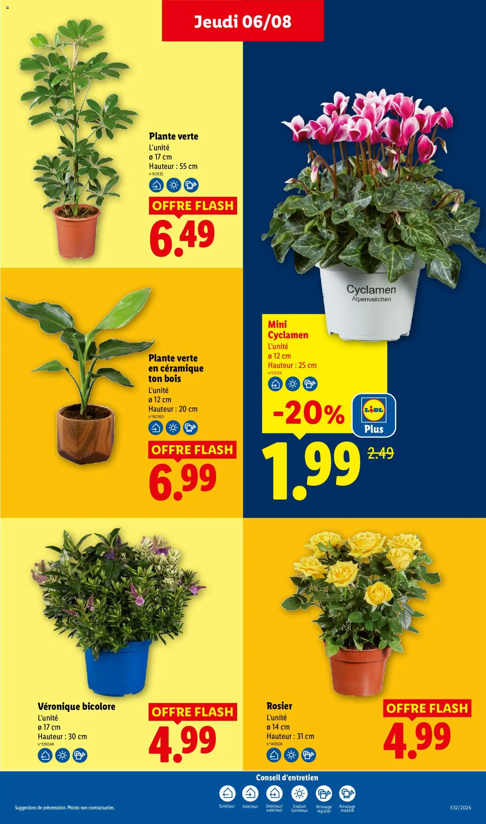 {H1} | Page: 33 | Produits: Veronique bicolore, Rosier, Cyclamen, Plante verte