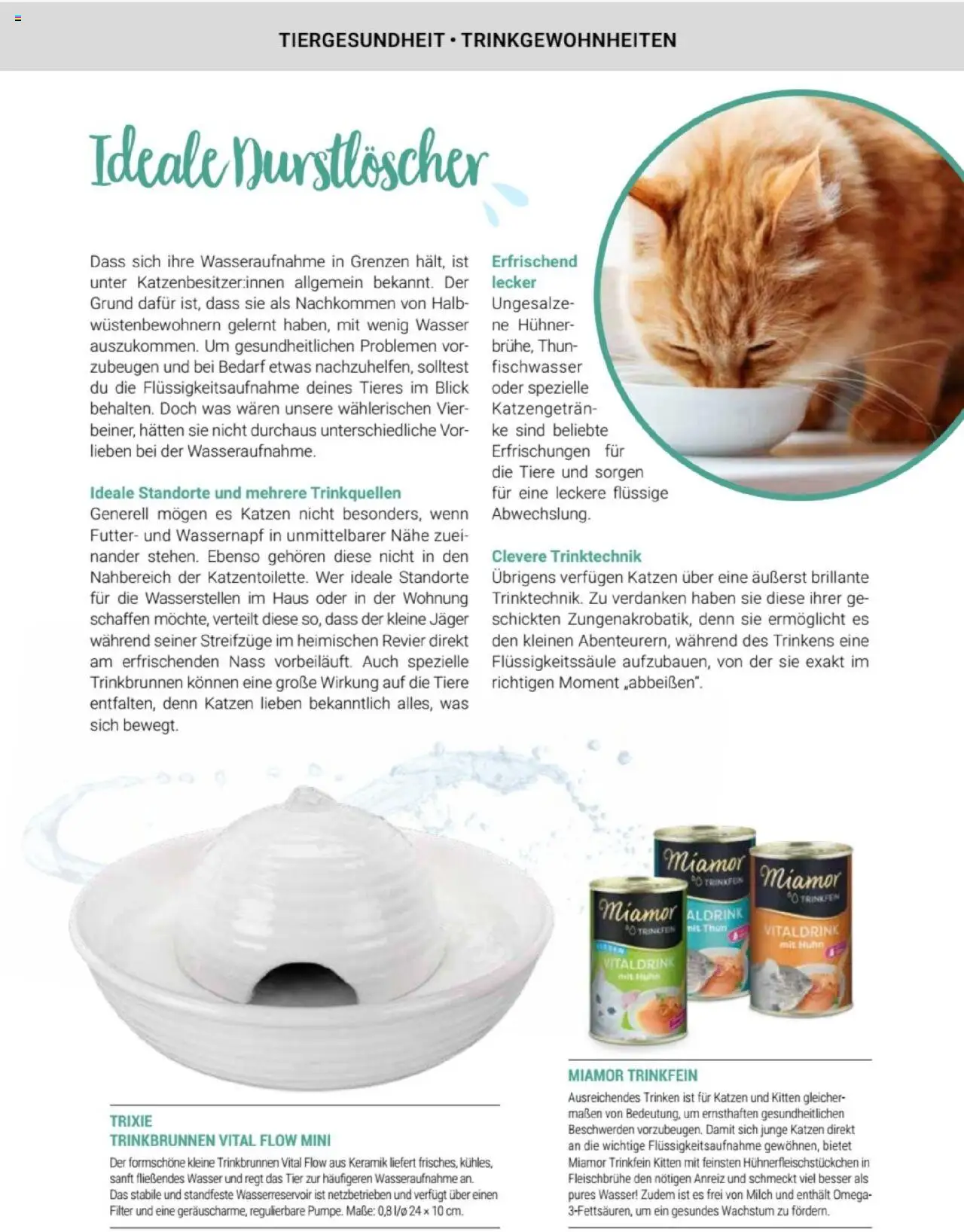 zookauf Themenkatalog Katze – gültig ab 01.10.2025 | Seite: 33 | Produkte: Durstloscher, Milch, Wasser