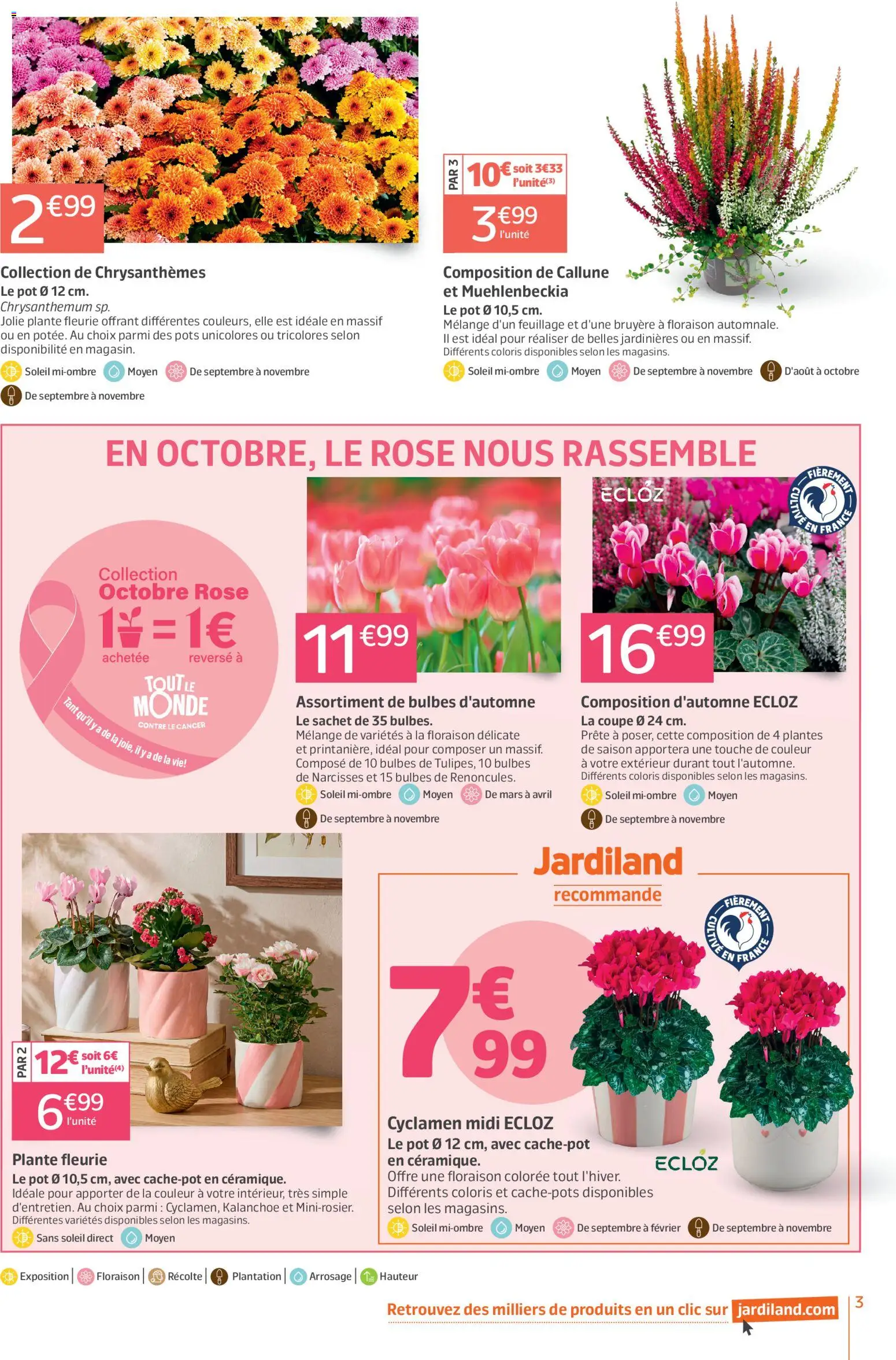 {H1} | Page: 3 | Produits: Bruyère, Chrysanthèmes, Cyclamen, Kalanchoe