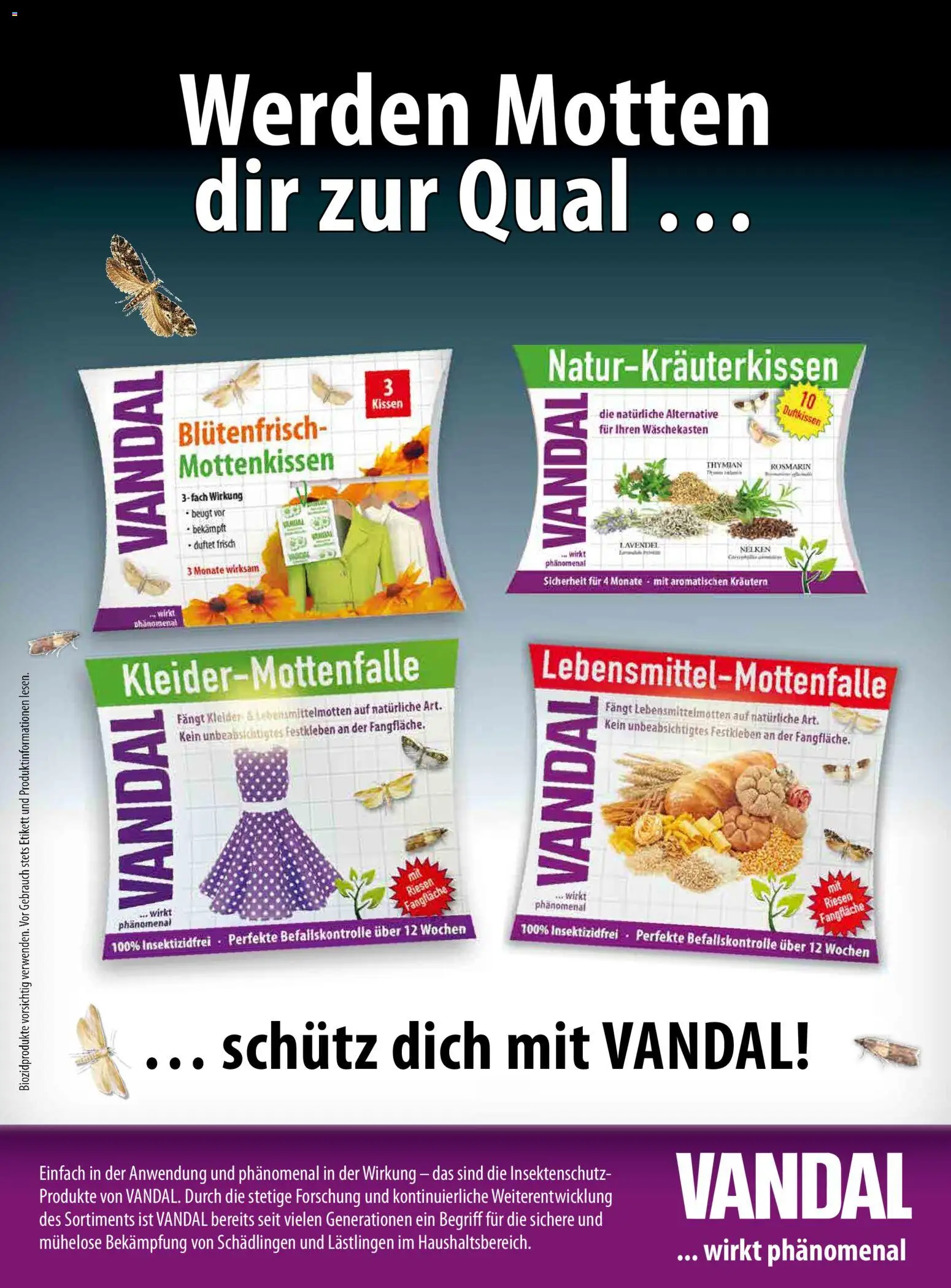 dm drogerie markt Magazin October 2026 gültig ab 01.10.2026 | Seite: 65 | Produkte: Kissen