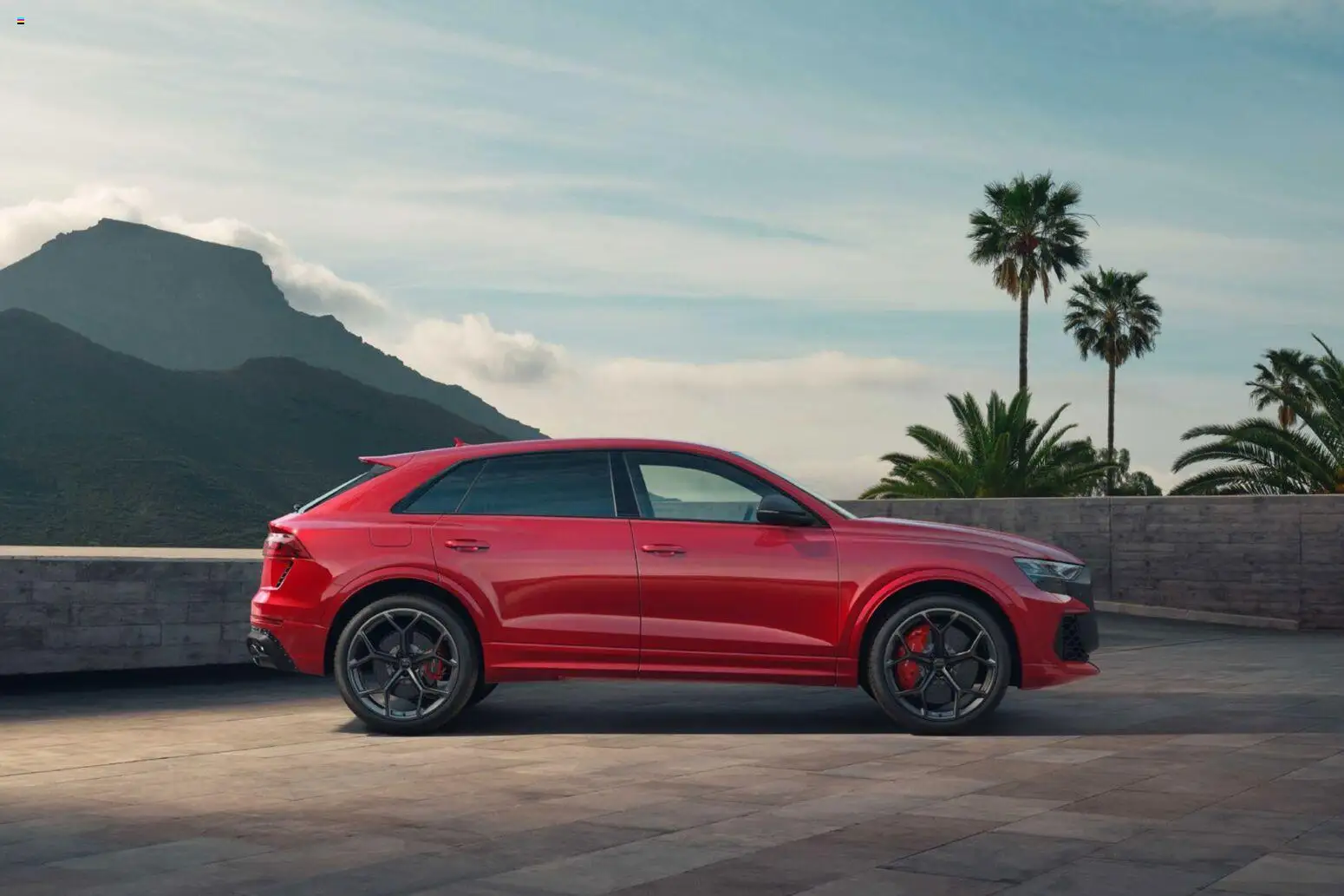Audi RS Q8 / RS Q8 performance – gültig ab 27.11.2025 | Seite: 113