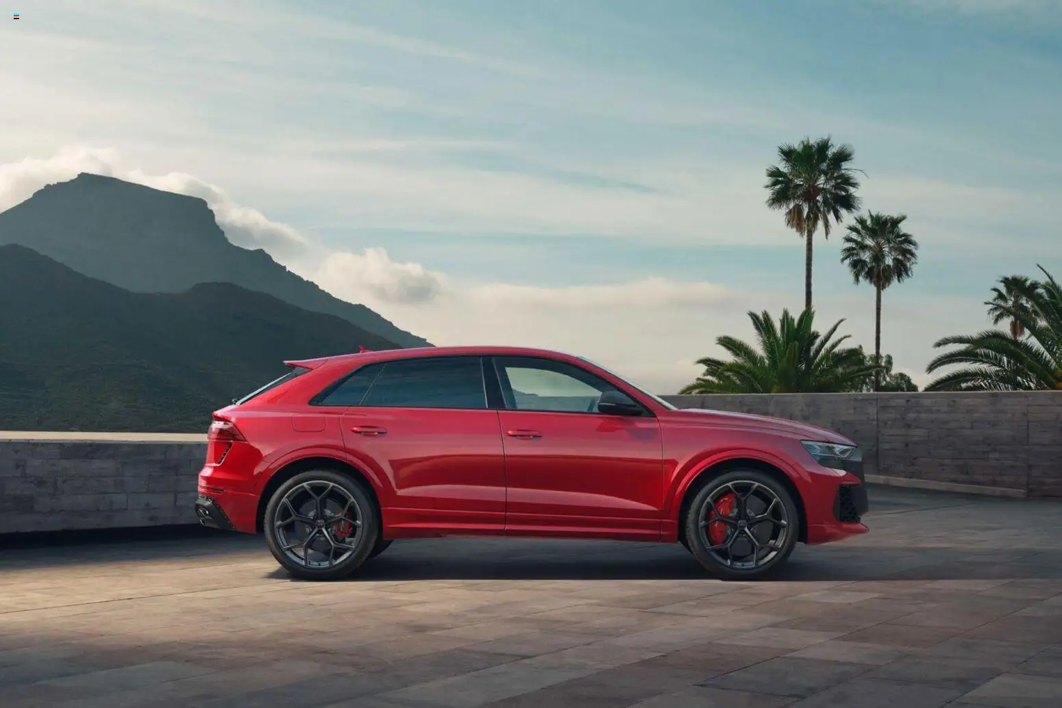 Audi RS Q8 / RS Q8 performance – gültig ab 27.11.2025 | Seite: 113