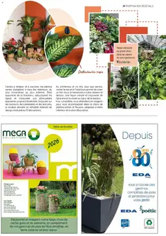 VillaVerde - Prévisualisation de VillaVerde catalogue valide à partir de 01/04/2026 | Page: 39 | Produits: Plantes