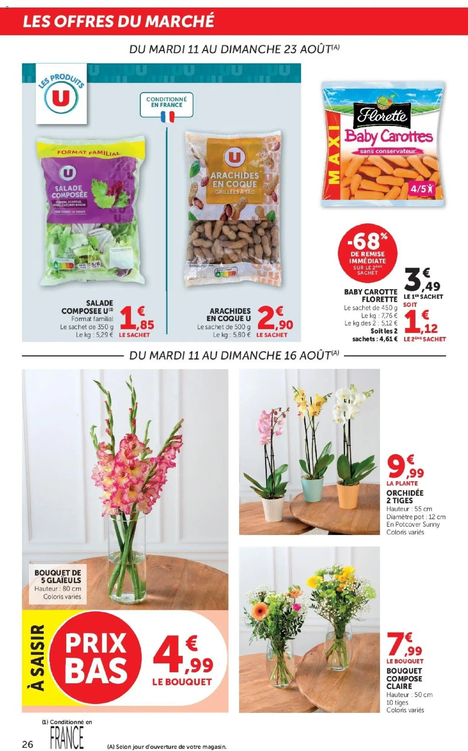 {H1} | Page: 26 | Produits: Salade, Carottes, Orchidée, Carotte