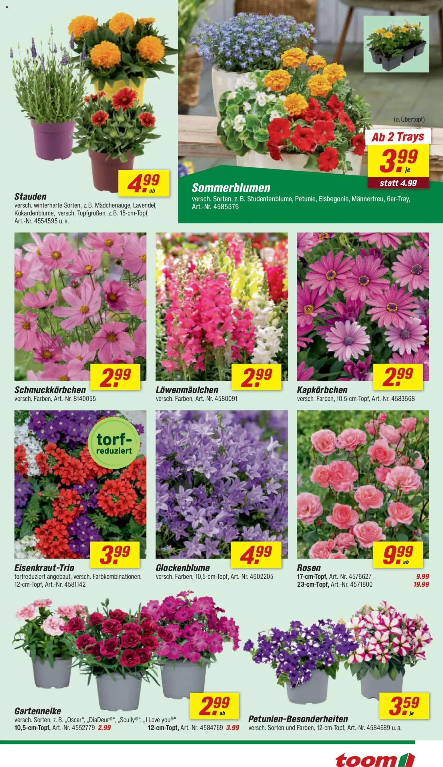Toom Baumarkt Prospekt – gültig ab 23.05.2026 | Seite: 19