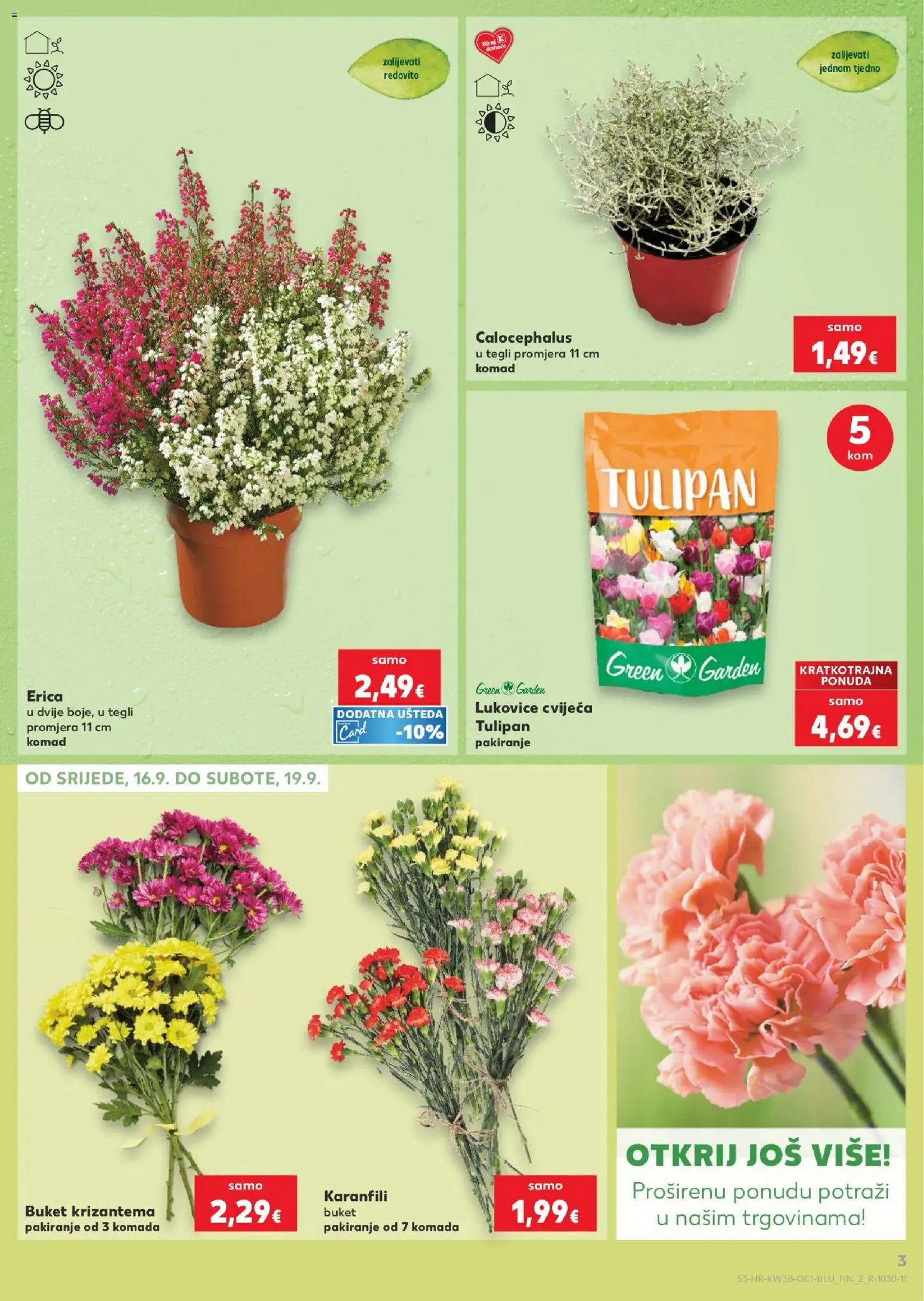 Kaufland katalog | vrijedi od 16.09.2026 | Stranica: 3 | Proizvodi: Karanfili, Tulipan, Buket