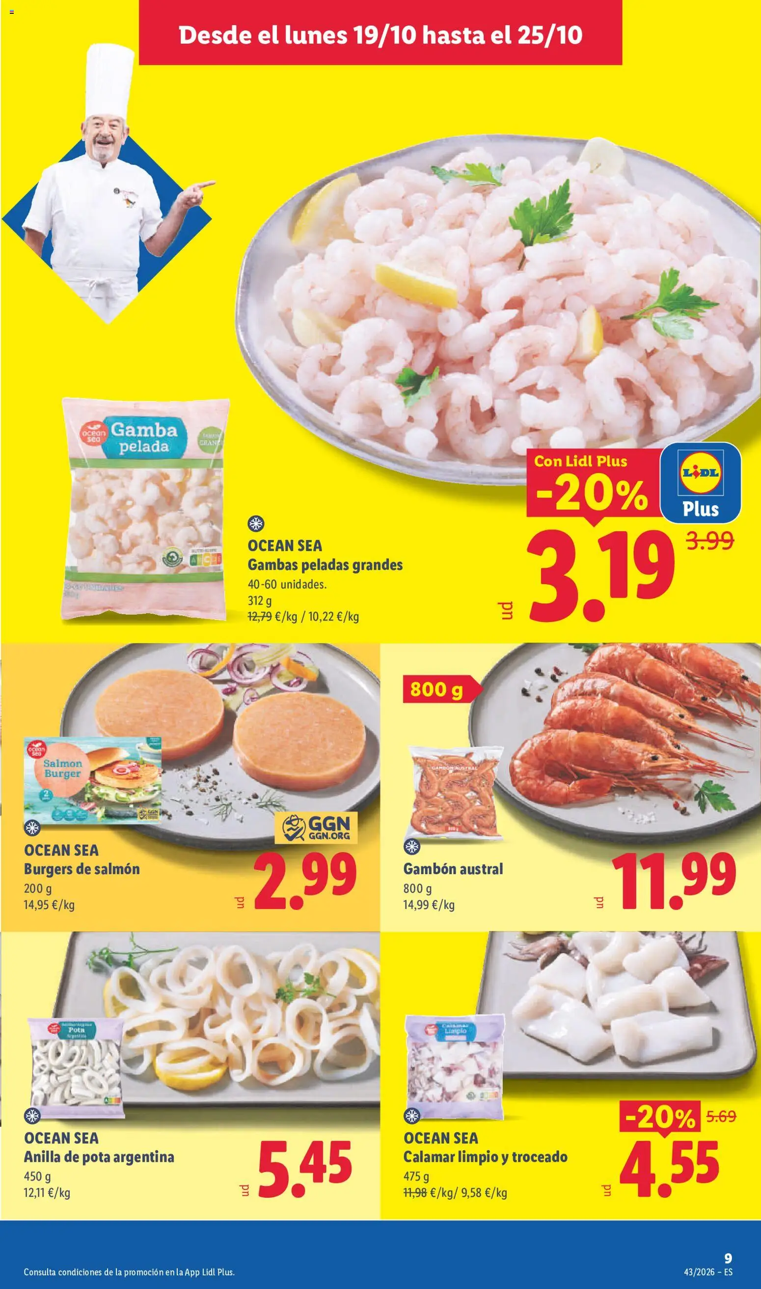 Lidl folleto │ válido desde el 19/10/2026 | Página: 13