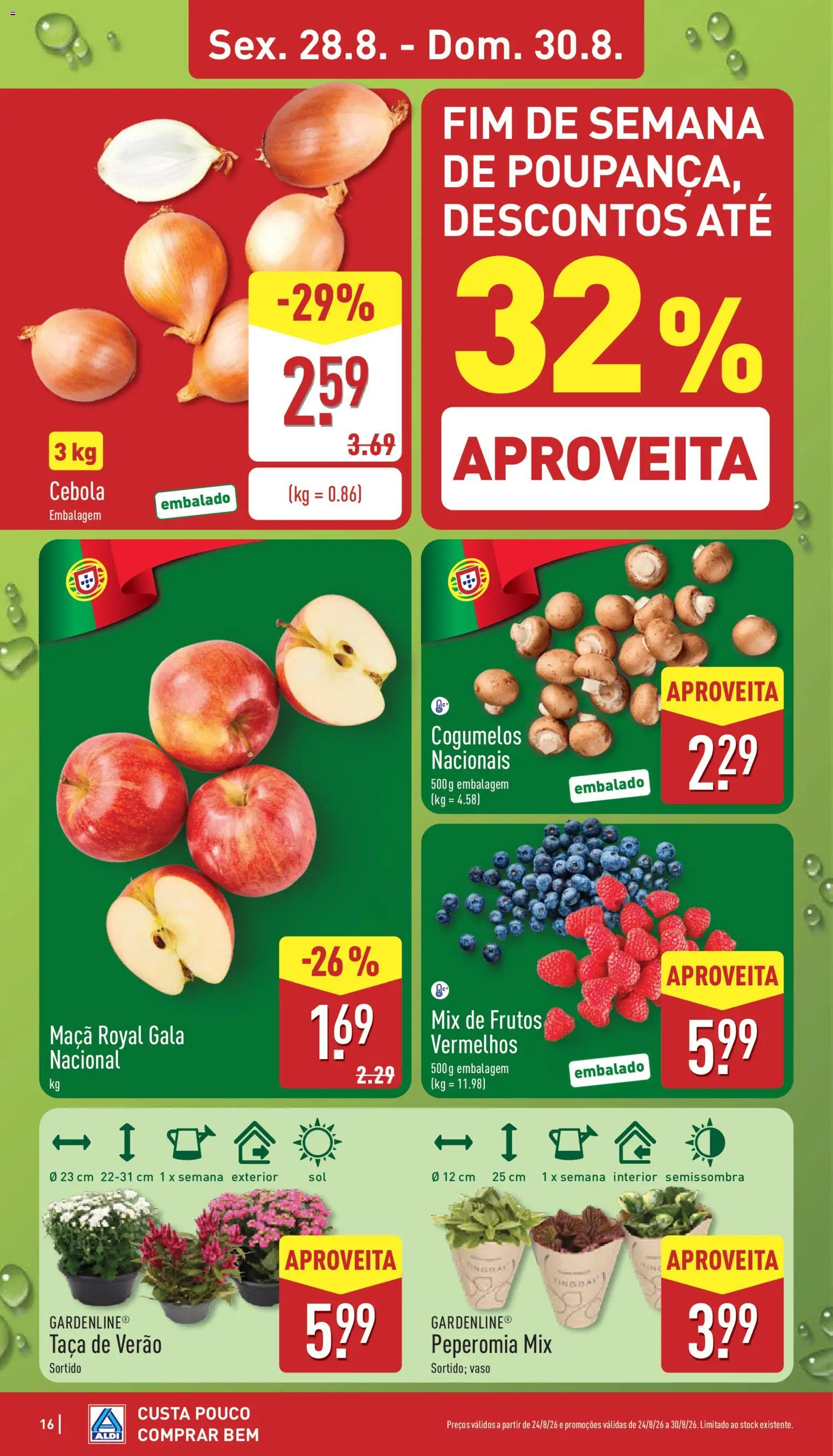 Aldi folheto │ válido de 24/08/2026 | Página: 16 | Produtos: Cebola, Maça, Vaso, Cogumelos