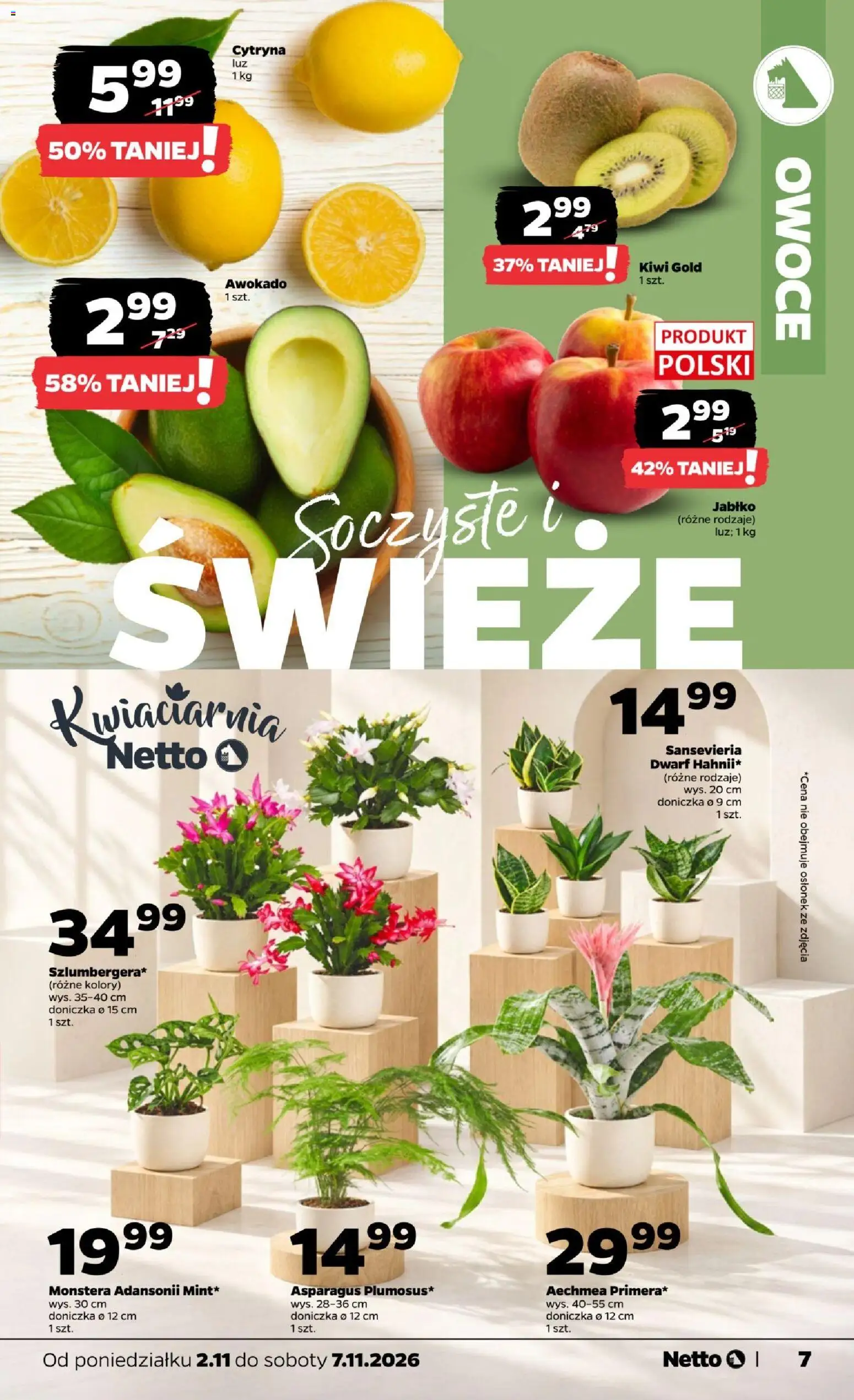 Netto gazetka od poniedziałku od 02.11.2026 | Strona: 7