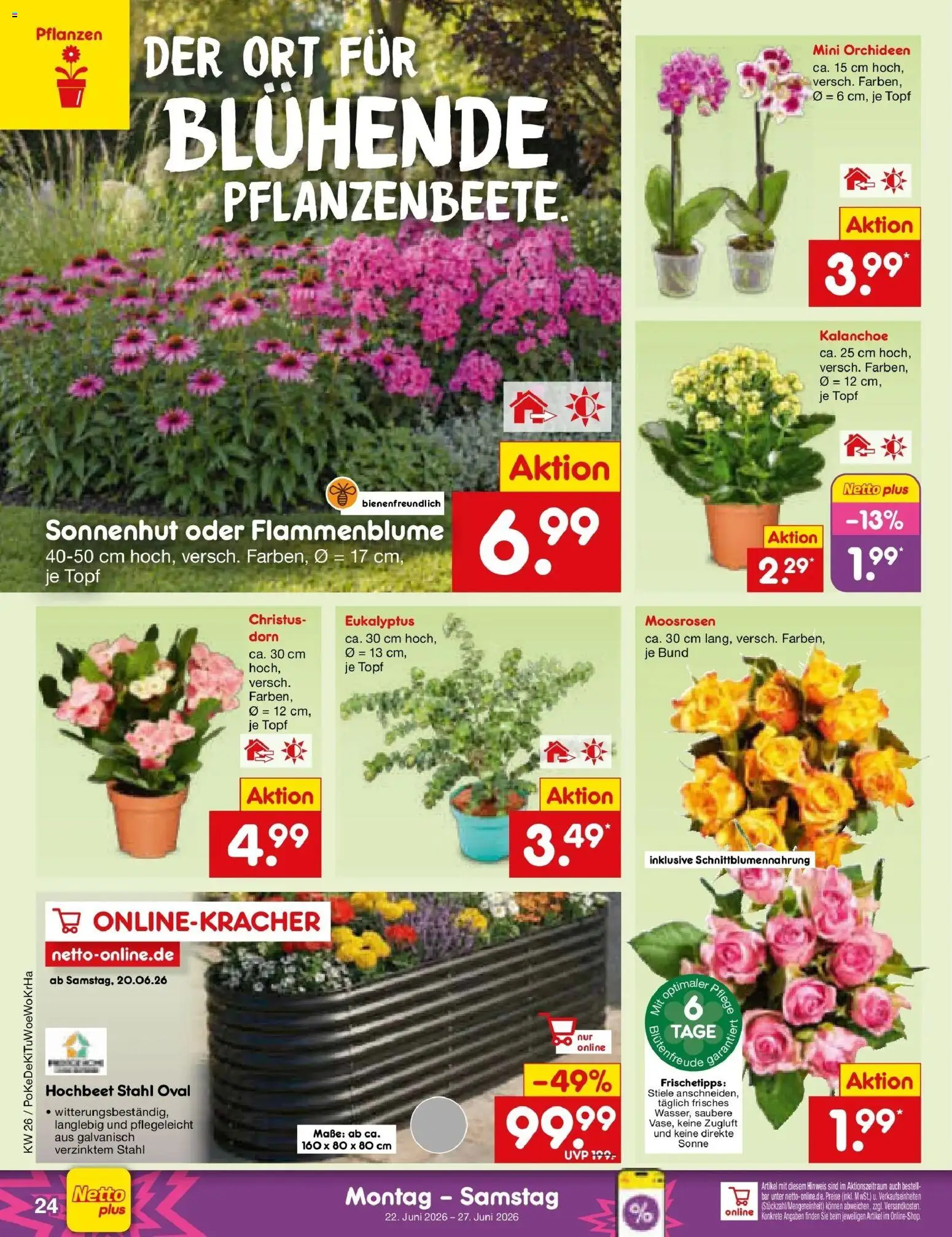 Netto Marken-Discount Prospekt Mannheim – gültig ab 21.06.2026 | Seite: 34 | Produkte: Hochbeet