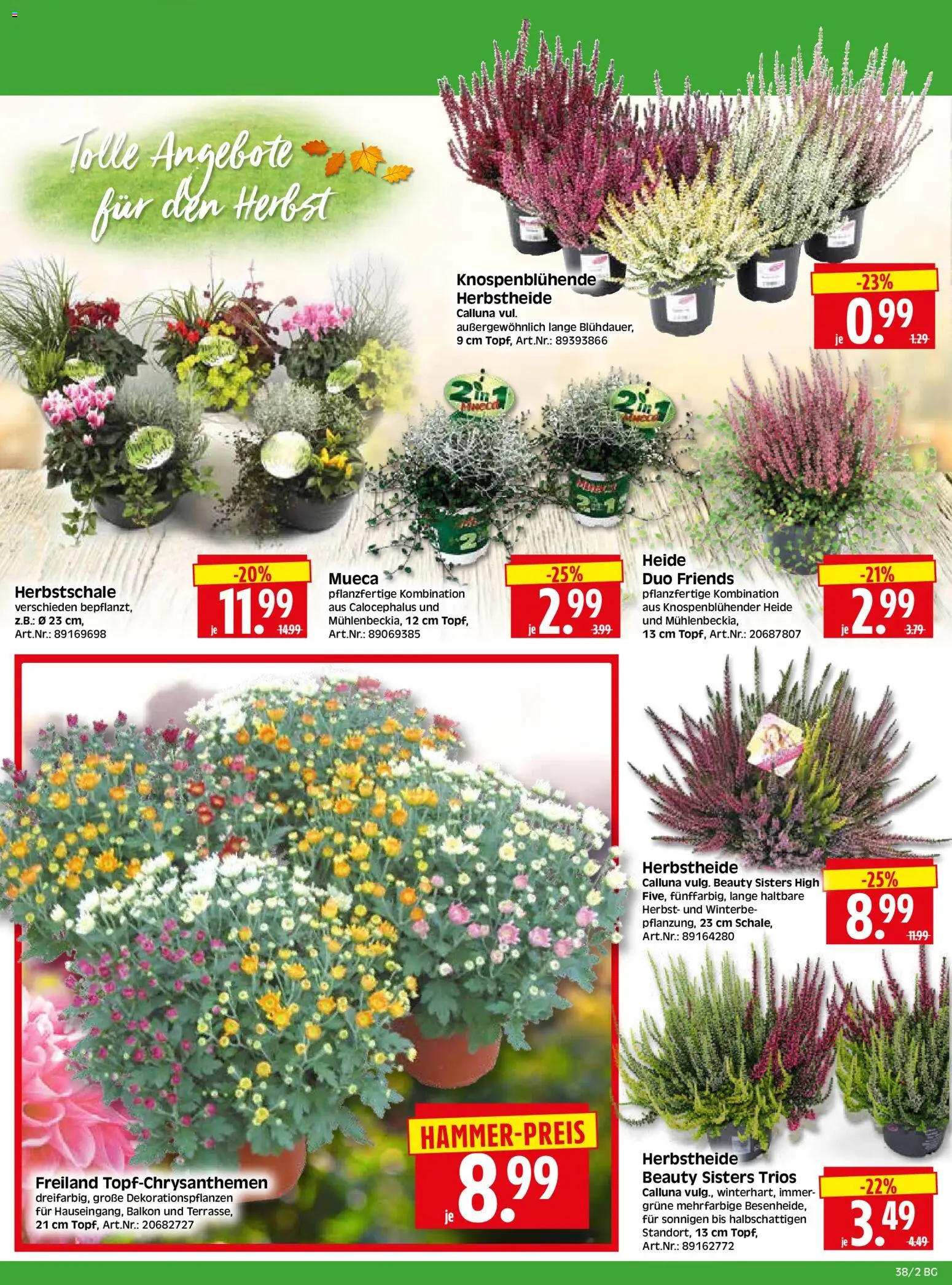 HERKULES Bau & Garten – gültig ab 14.09.2026 | Seite: 2