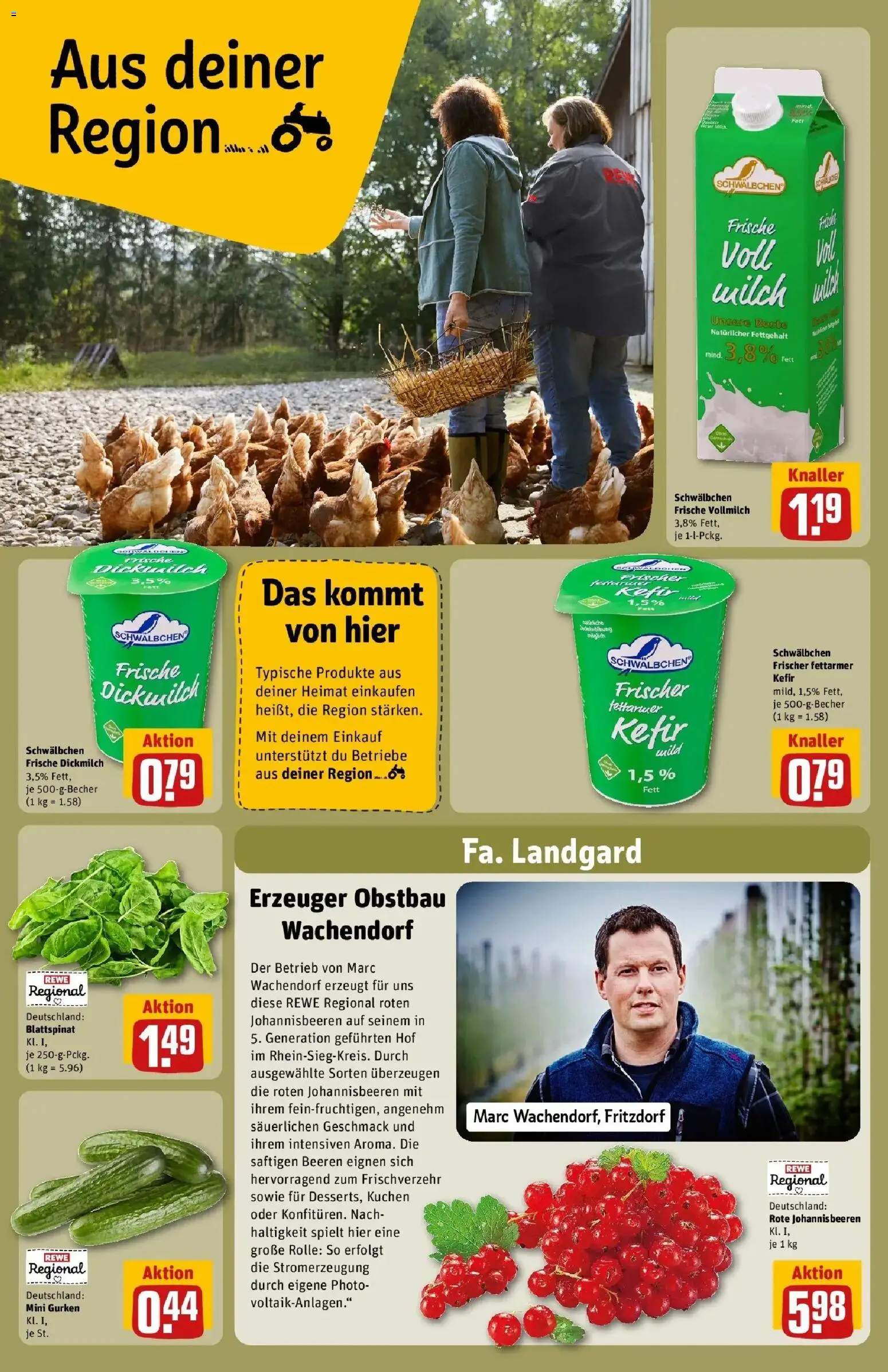 Rewe Prospekt Neuwied – gültig ab 27.07.2026 | Seite: 26 | Produkte: Kefir, Milch, Kuchen, Gurken