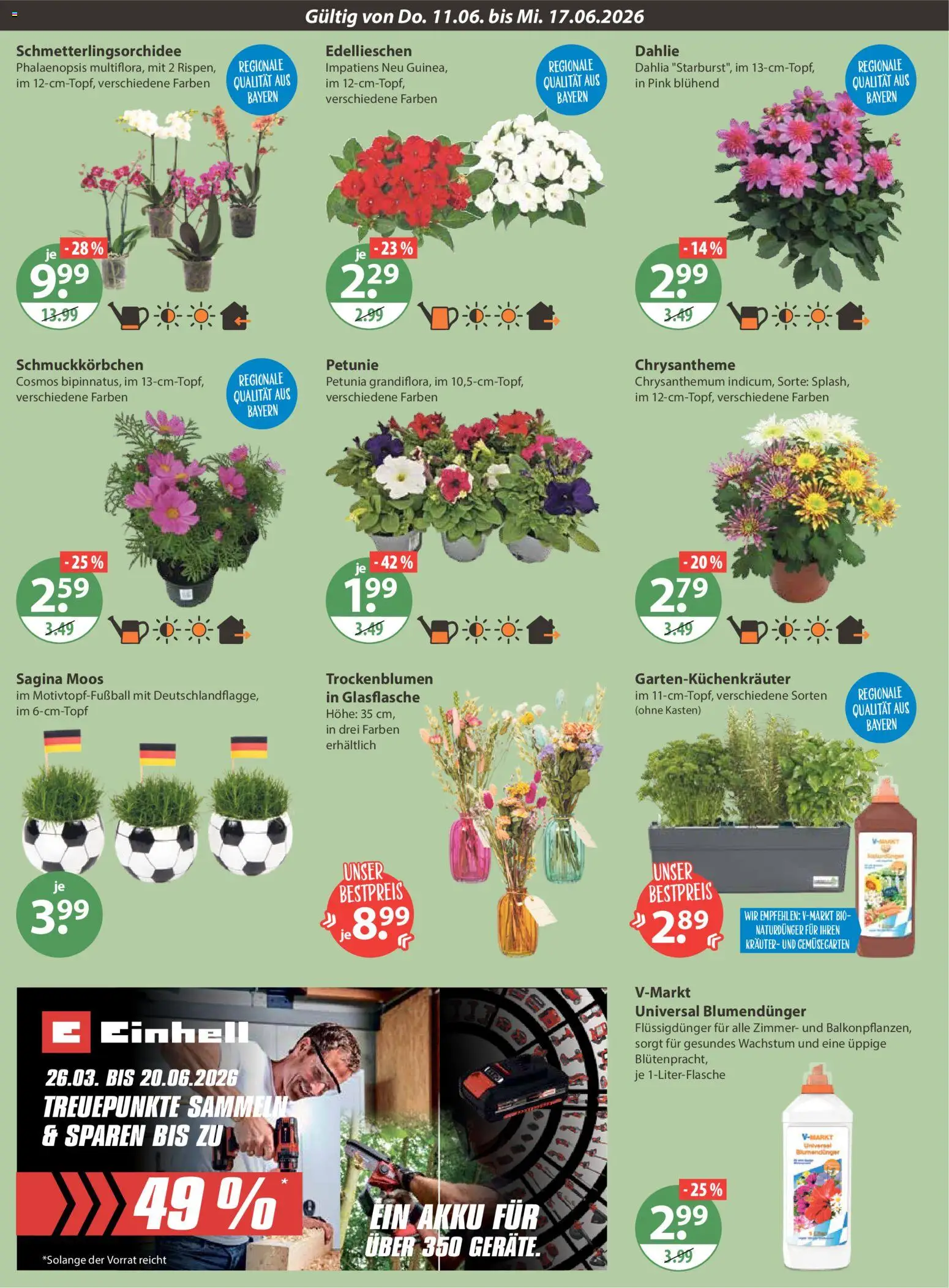 V-Markt München – gültig ab 11.06.2026 | Seite: 16