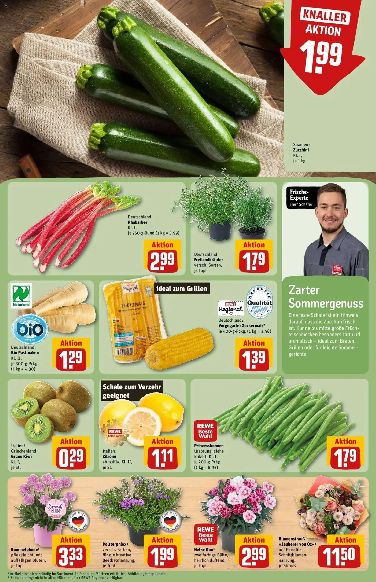 Rewe Prospekt Pegnitz	 – gültig ab 20.04.2026 | Seite: 13 | Produkte: Zitrone, Rhabarber, Zucchini, Kiwi