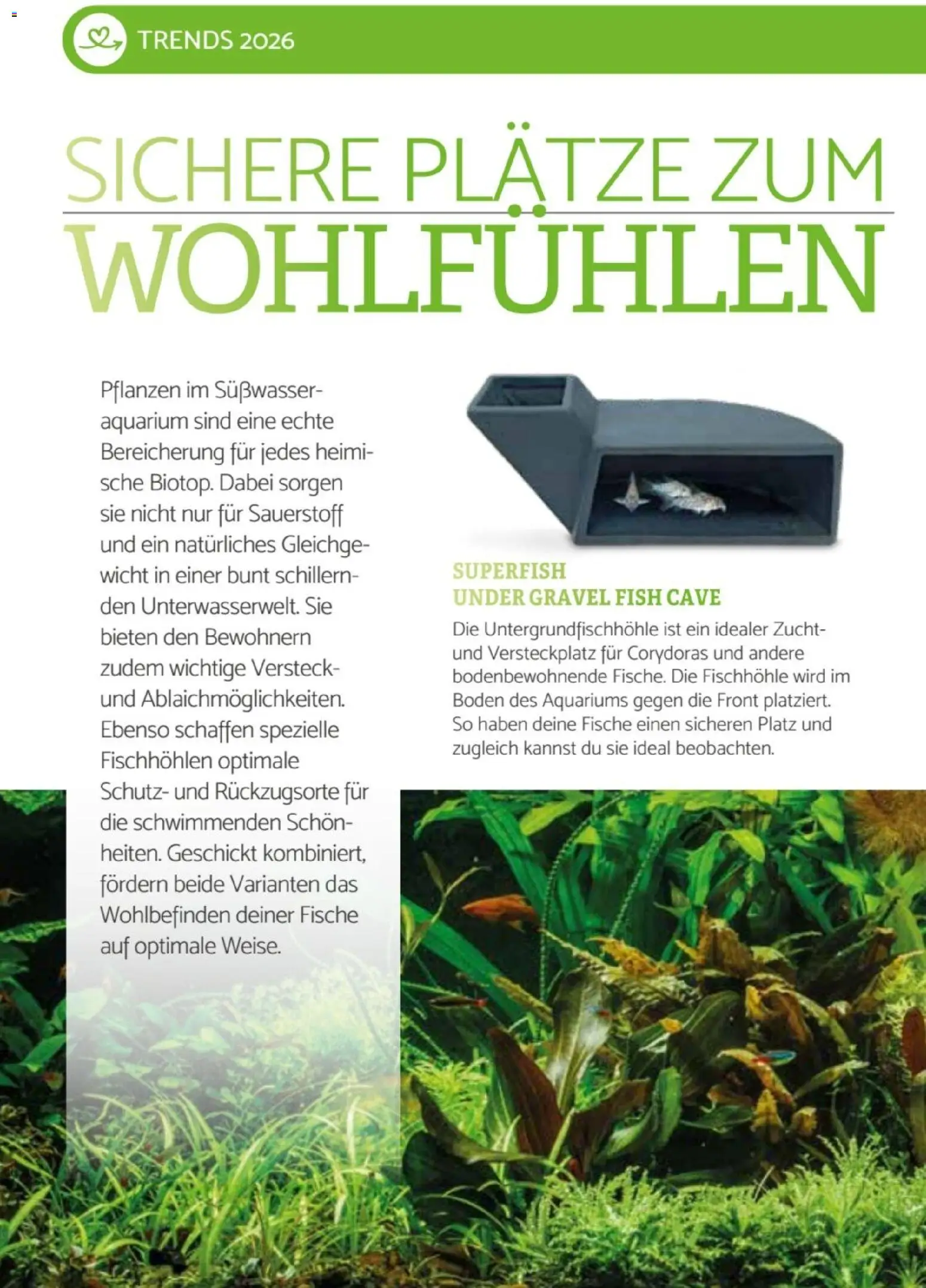 zookauf Heimtier Journal Special – gültig ab 01.10.2026 | Seite: 10