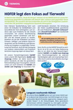 Hofer Heute für Morgen-Magazin ab 02.10.2024 gültig | Seite: 13