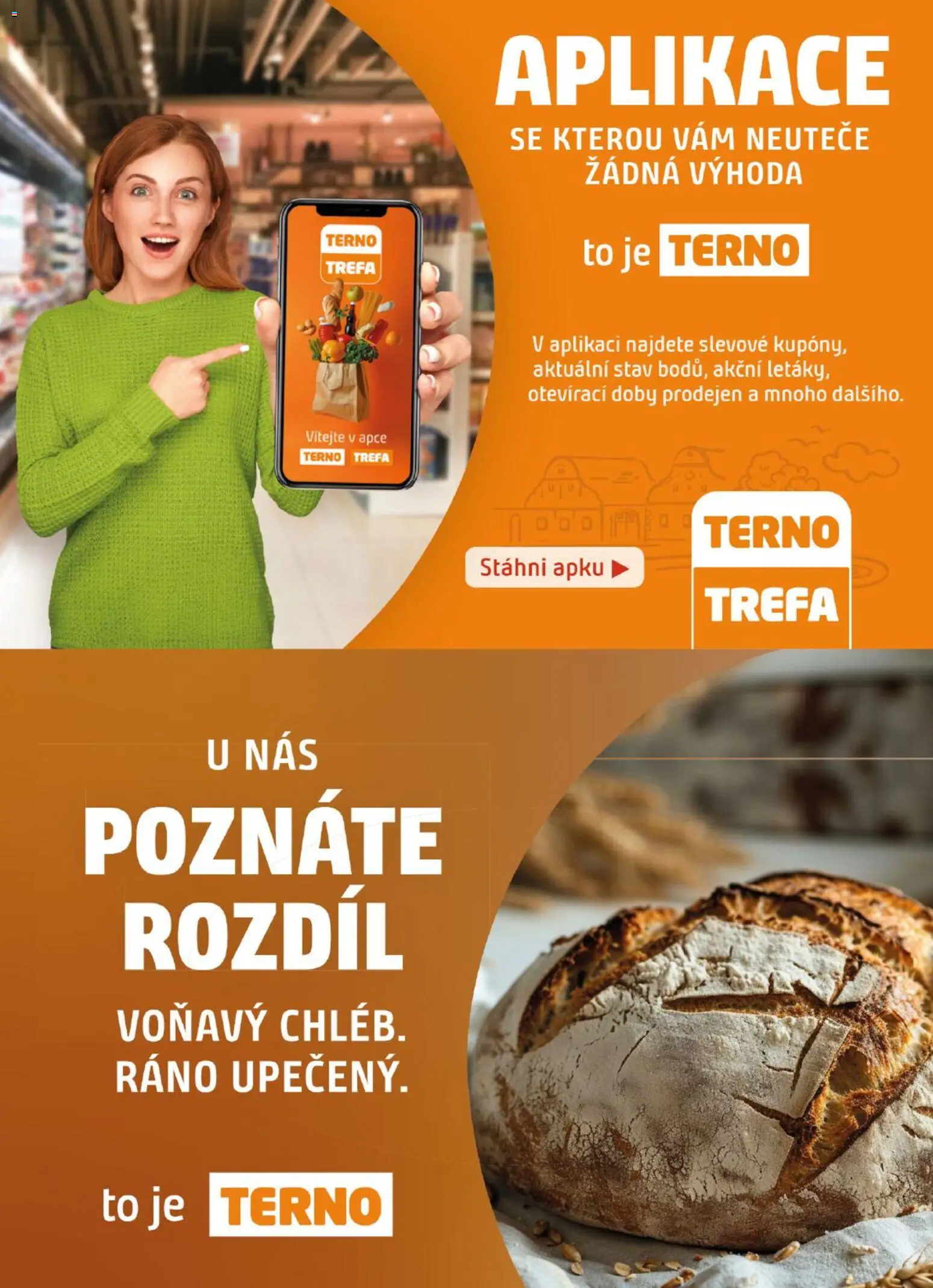 Terno leták od 23.09.2026 | Strana: 17