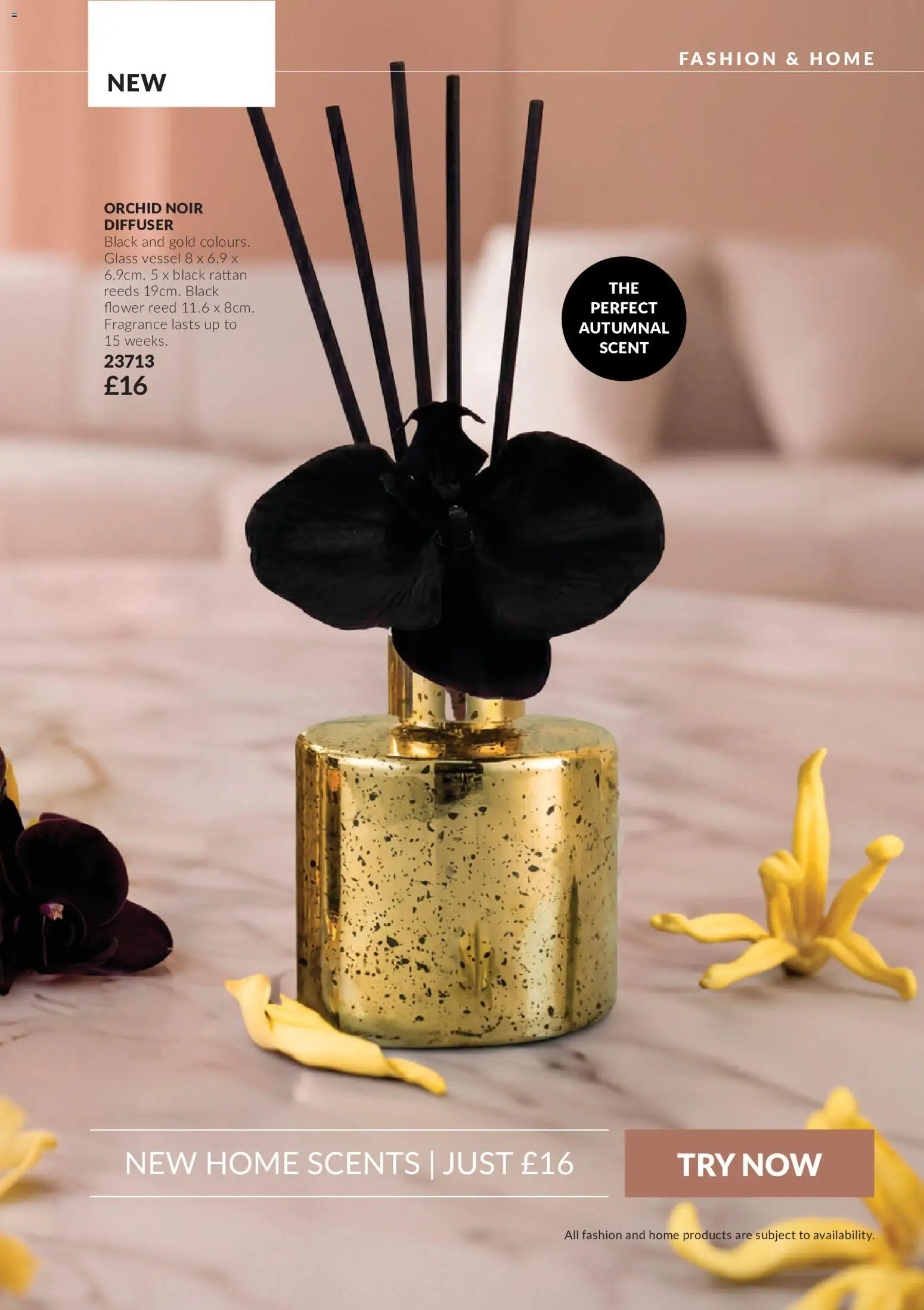 {H1} | Page: 137 | Products: Fragrance, Orchid