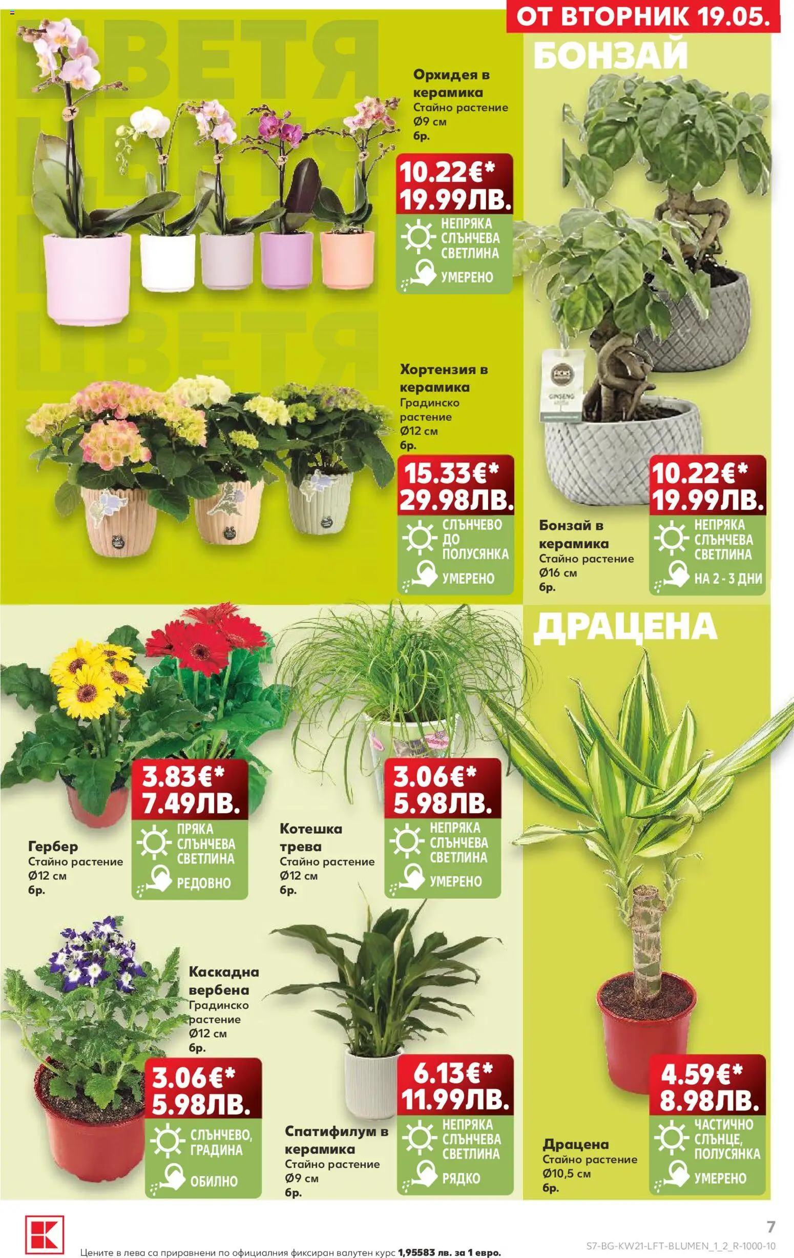 {H1} | Страница: 7 | Продукти: Орхидея