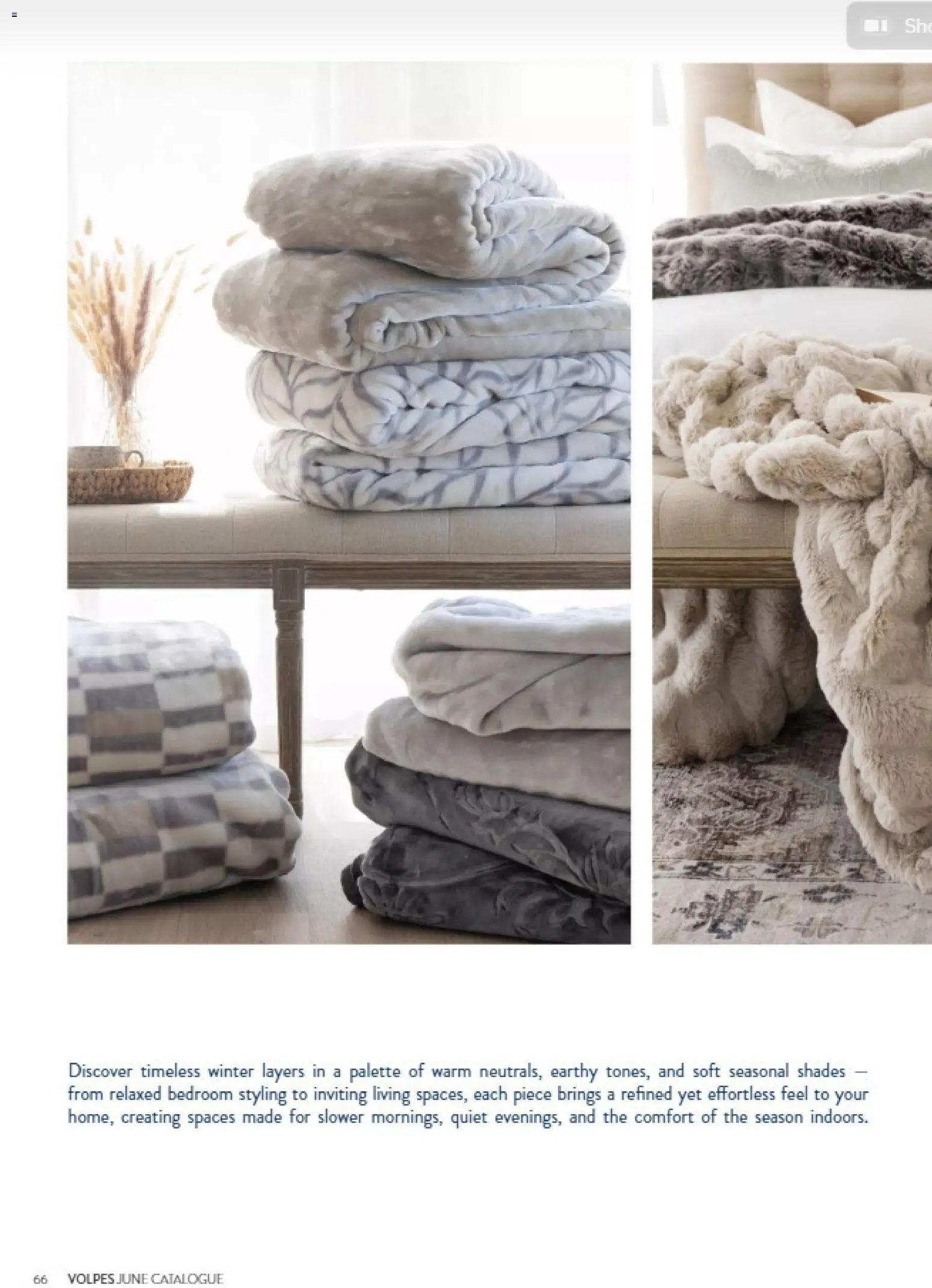 New Volpes catalogue – valid from 01/07/2026 | Page: 66