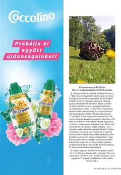 DM Drogerie Markt Active Beauty 2026/07-08 - amely érvényes a következő dátumtól: 2026.07.16. | Oldal: 80 | Termékek: Föld, Coccolino