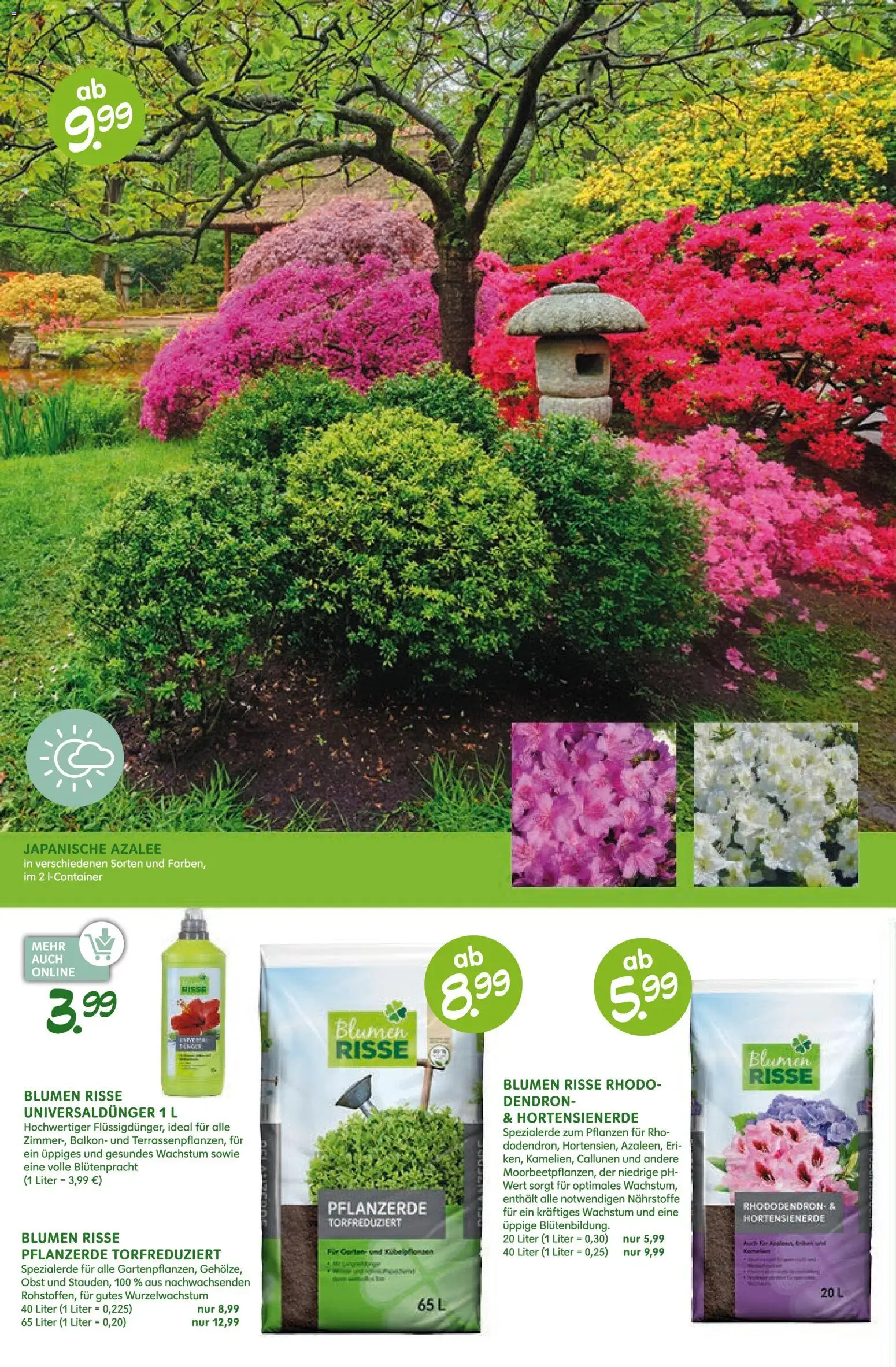 Blumen Risse Prospekt Blumenmarkt – gültig ab 28.05.2026 | Seite: 12 | Produkte: Pflanzerde, Blumen, Obst