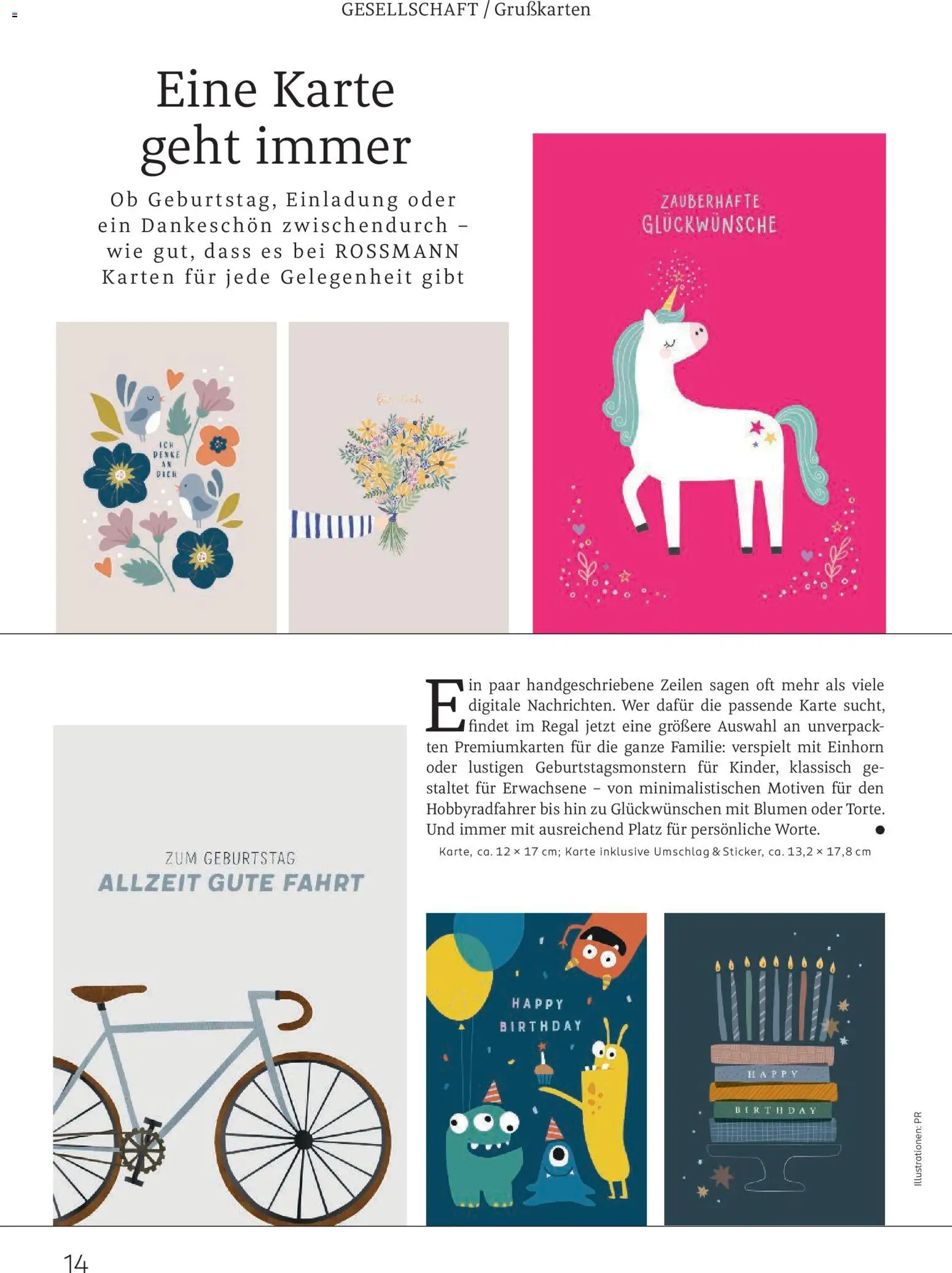 Rossmann Centaur – gültig ab 01.05.2026 | Seite: 14 | Produkte: Regal, Blumen