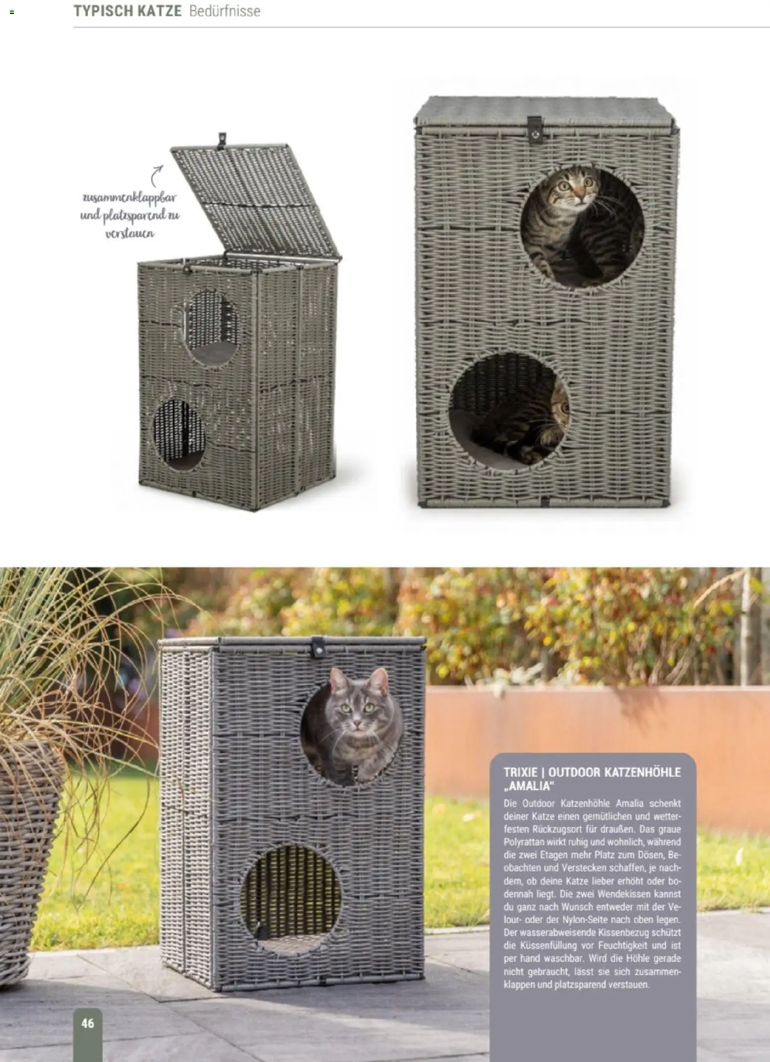 zookauf Themenkatalog Katze – gültig ab 01.10.2026 | Seite: 46