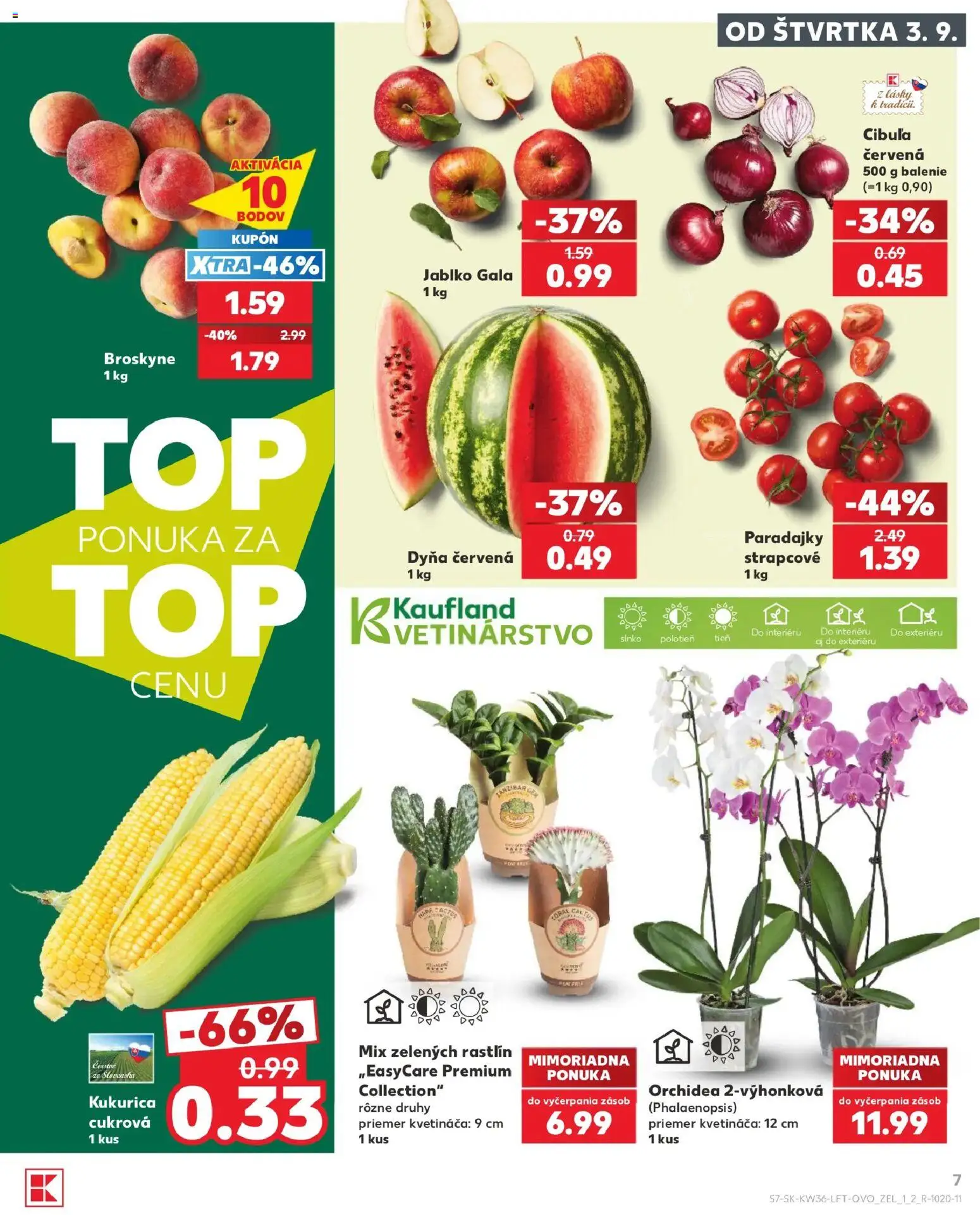 Nové Kaufland akcie – leták je platný od 03.09.2026 | Strana: 7 | Produkty: Paradajky, Orchidea, Kukurica, Broskyne
