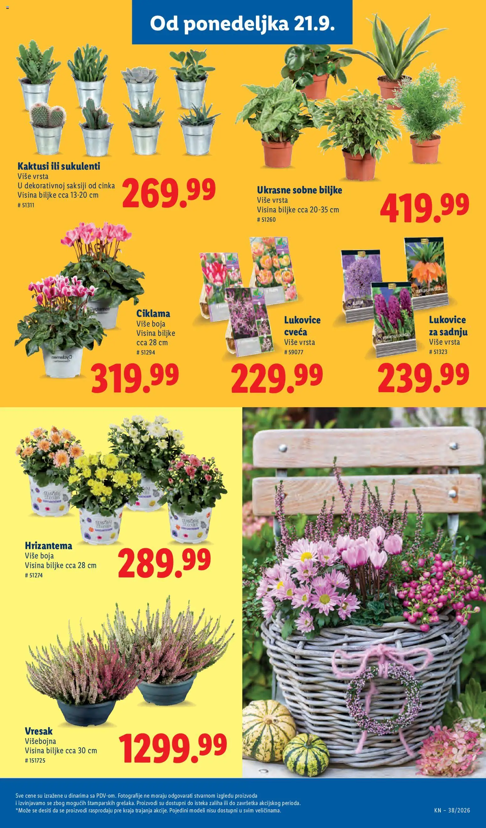 Lidl katalog - važi od 17.09.2026 | Strana: 59