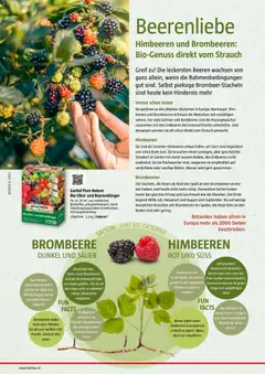 Bauhaus Reiche Ernte ab 25.05.2026 gültig | Seite: 58 | Produkte: Erdbeeren, Wasser, Obst, Himbeere