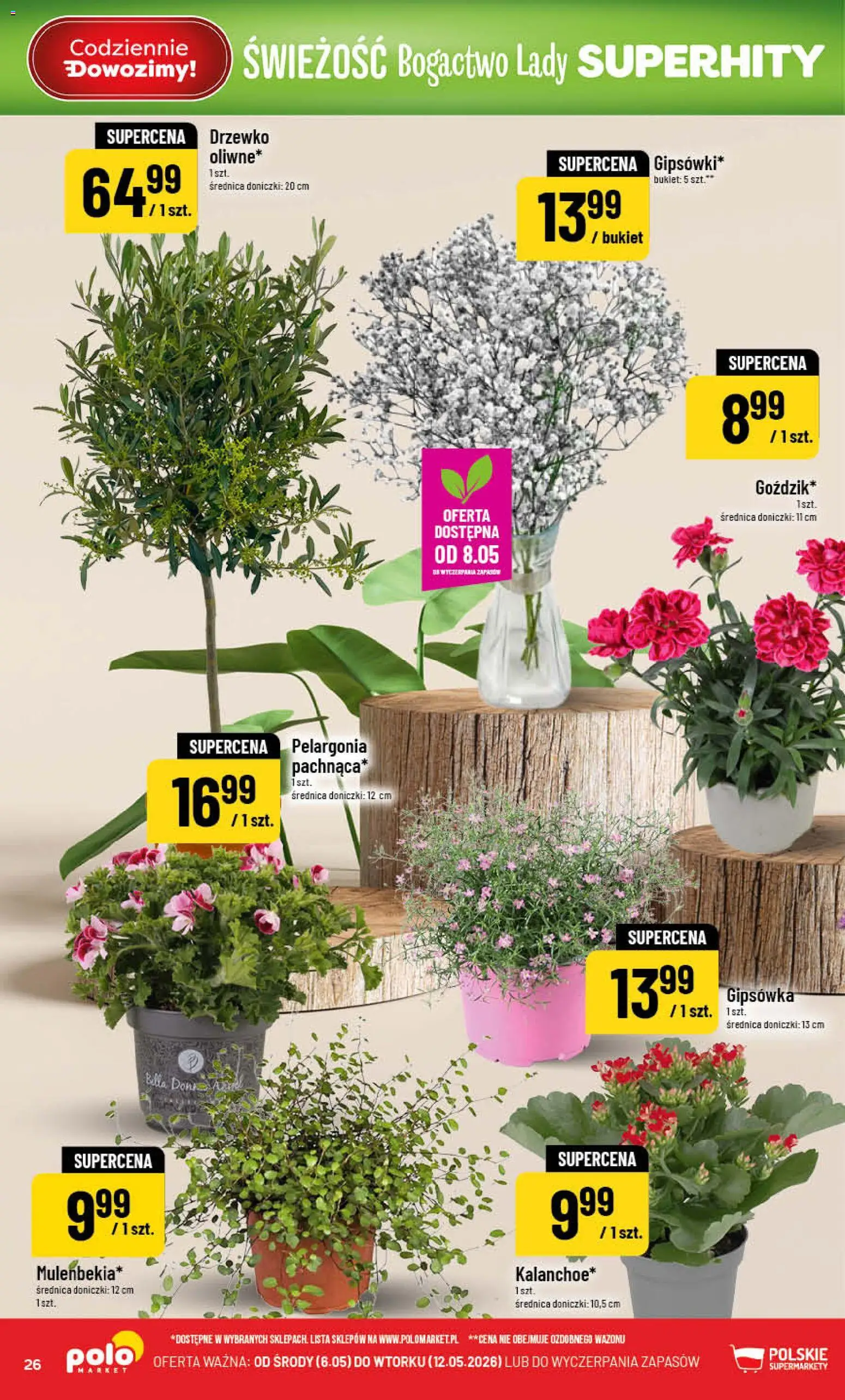 POLOmarket gazetka od 06.05.2026 | Strona: 26 | Produkty: Doniczki