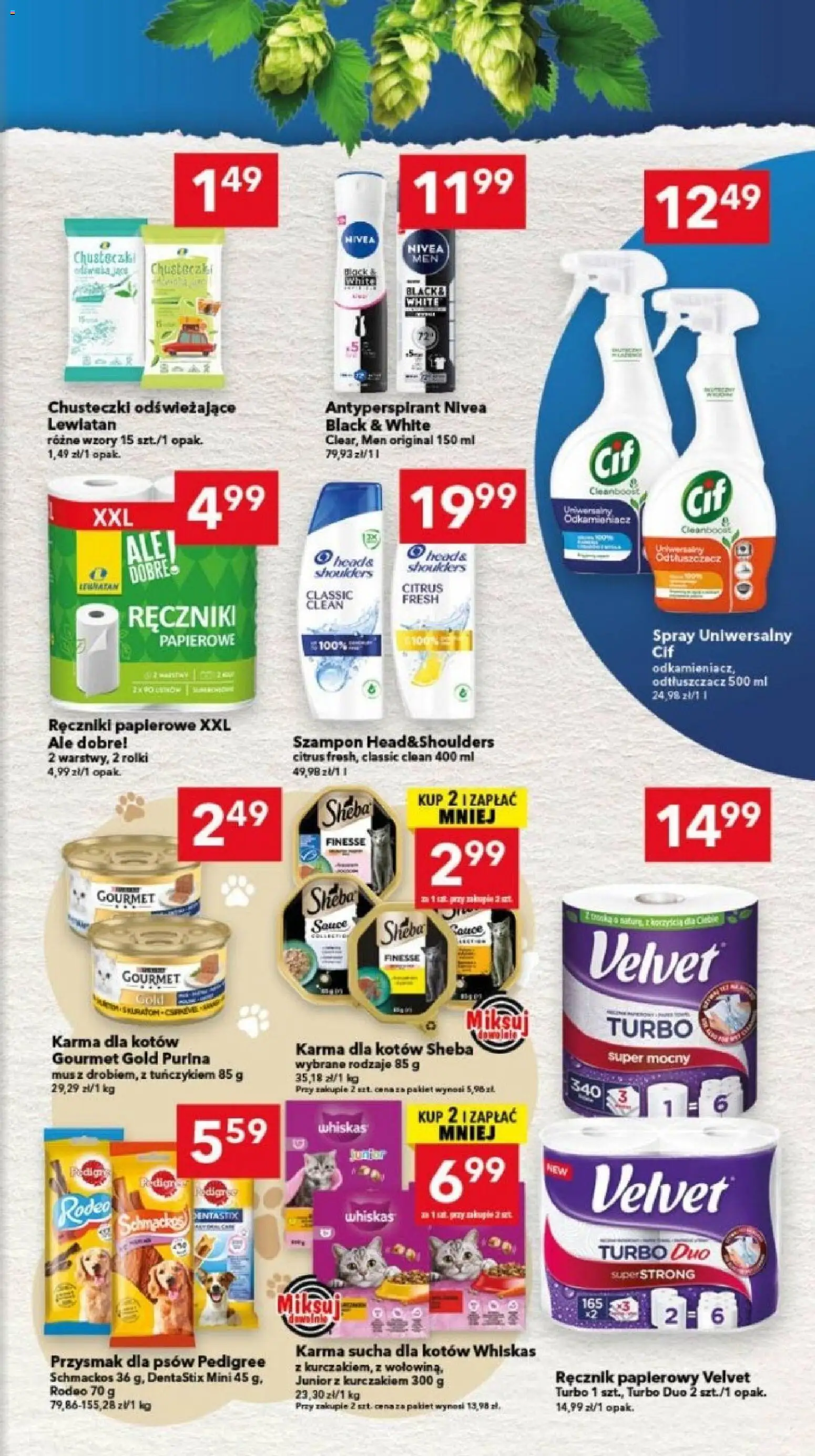 Lewiatan gazetka - Bydgoszcz od 30.07.2026 | Strona: 7 | Produkty: Ręczniki papierowe, Karma dla kotów, Szampon, Antyperspirant