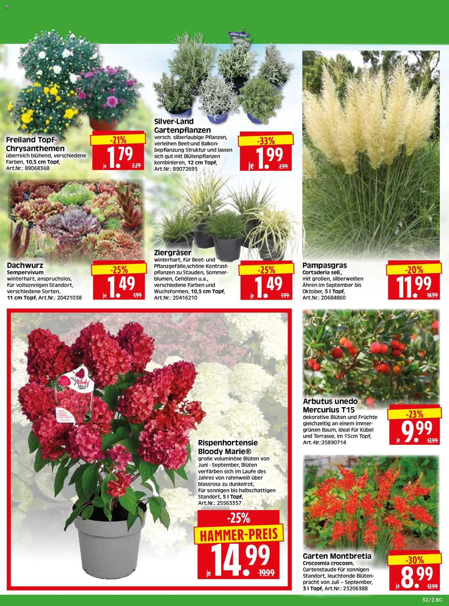 HERKULES Bau & Garten – gültig ab 03.08.2026 | Seite: 2