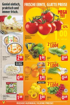 E center Prospekt ab 27.07.2026 gültig | Seite: 2