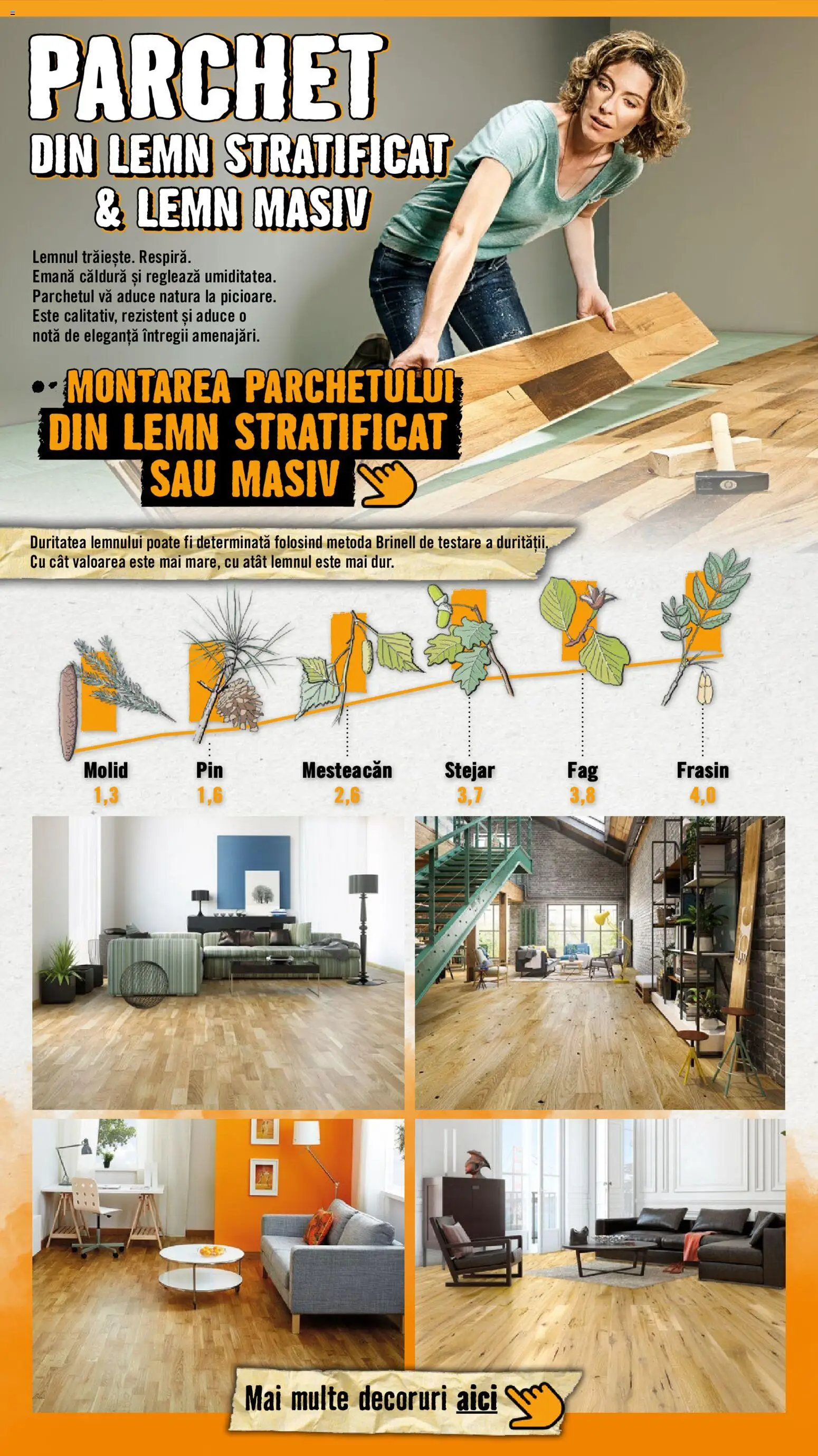 Noul catalog Hornbach – valabil de la 15.09.2026 | Pagină: 10 | Produse: Parchet