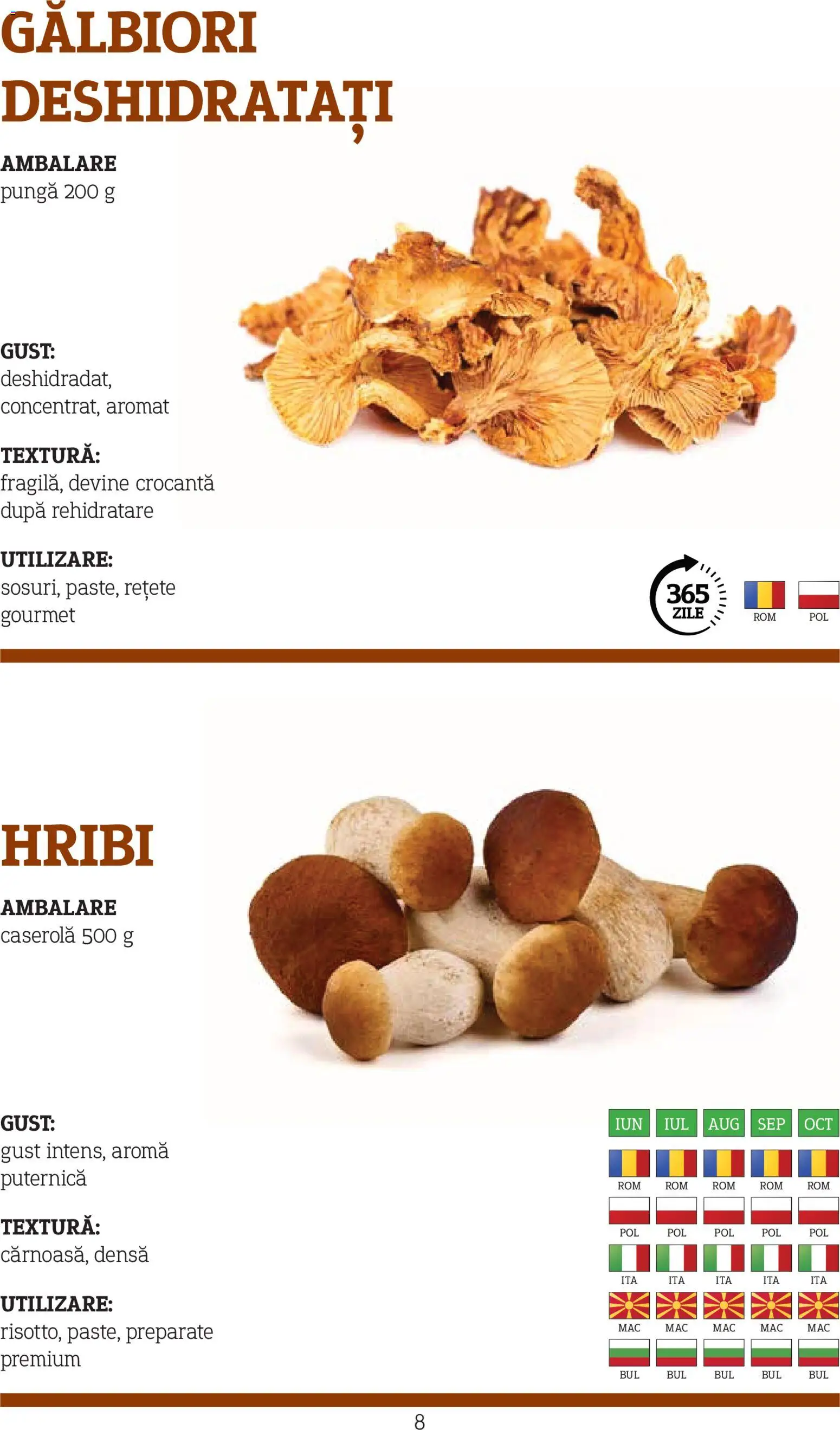 Noul catalog Metro – valabil de la 10.11.2025 | Pagină: 8 | Produse: Pungă