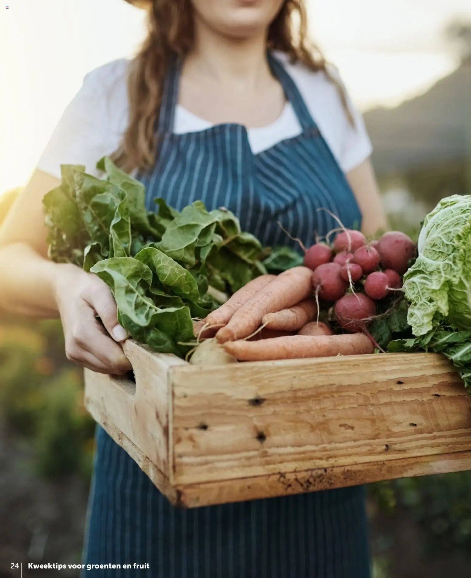 {H1} | Pagina: 24 | Producten: Fruit, Groenten