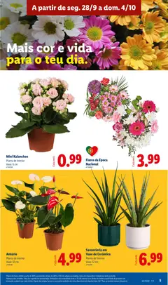 Pré-visualização Sansevieria em Vaso de Cerâmica, Planta de Interior Vaso: 12 cm válido de 28/09/2026 | Página: 5