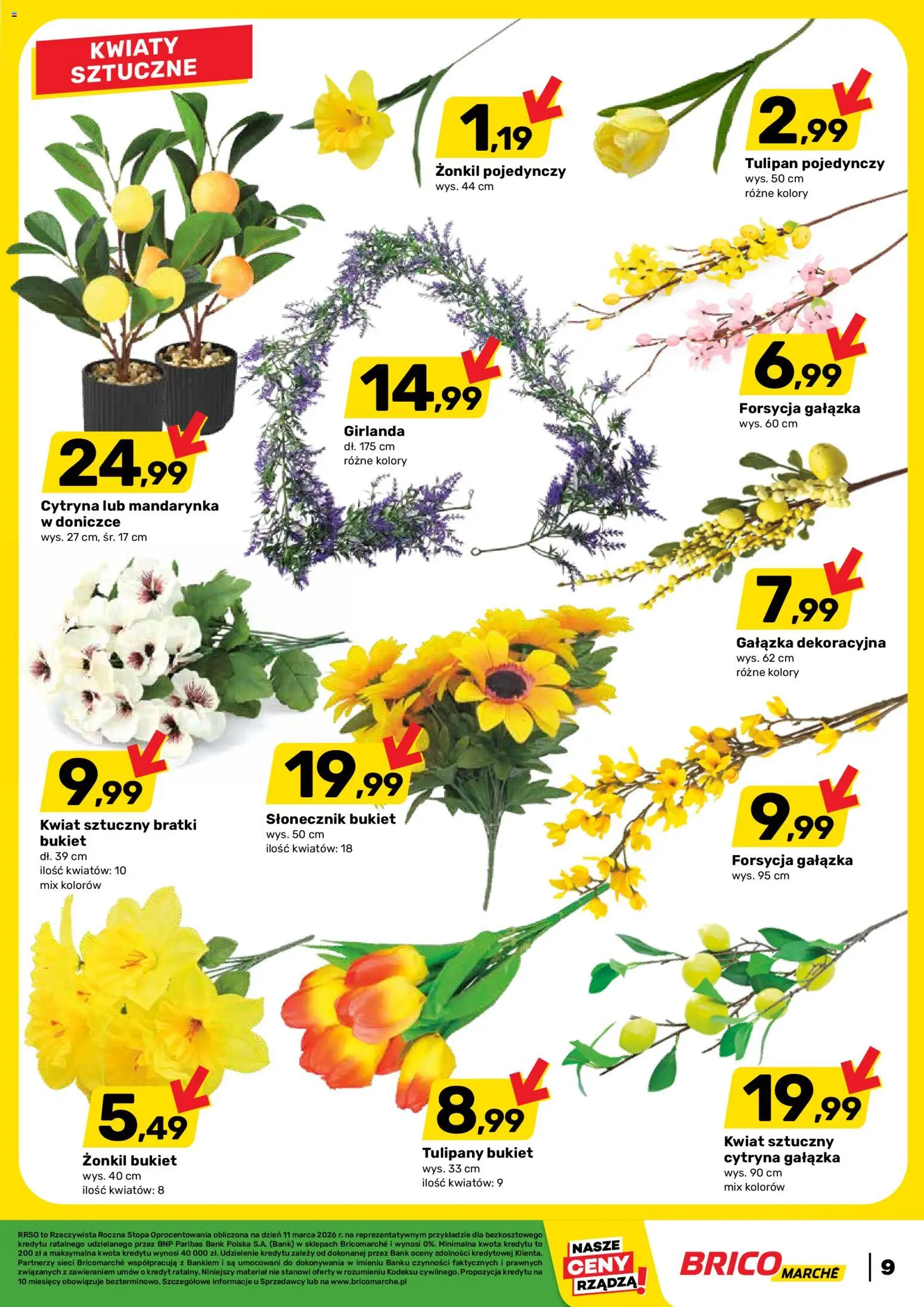 Brico Marché gazetka od 11.03.2026 | Strona: 9 | Produkty: Cytryna, Bratki, Tulipany, Kwiaty