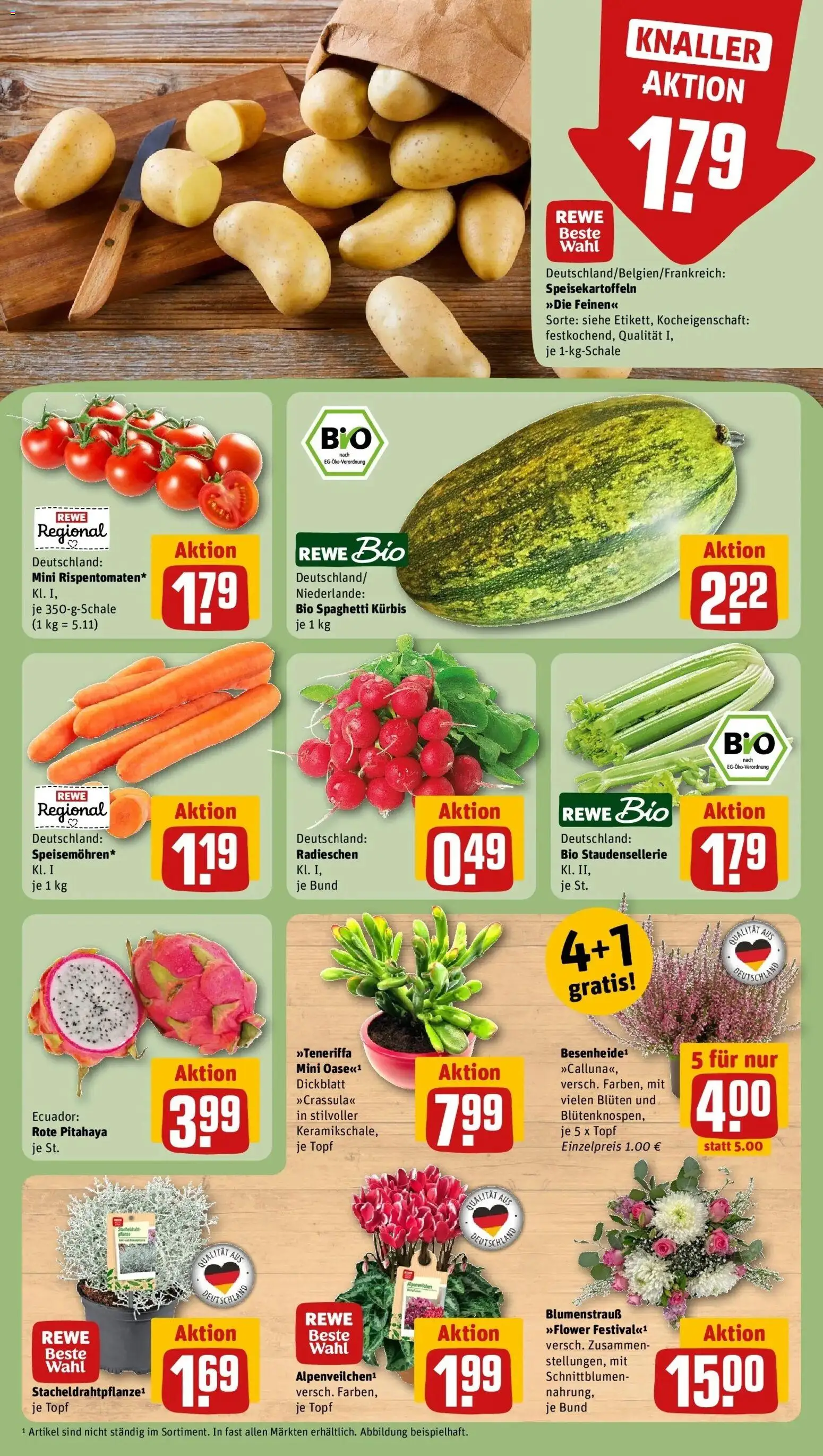 REWE Prospekt ab 05.10.2026 zum Blättern » Angebote | Seite: 9 | Produkte: Spaghetti, Kürbis