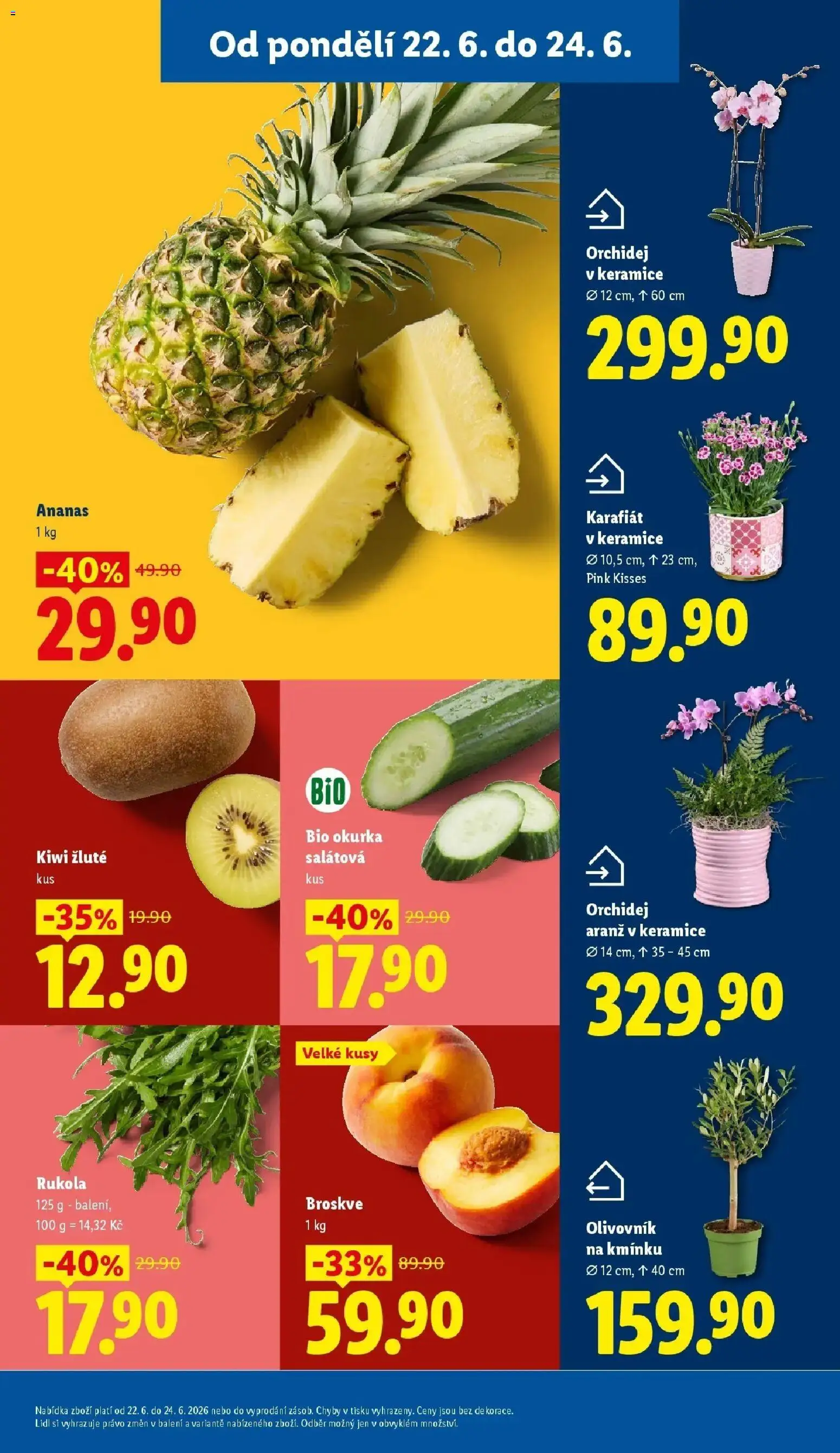 Lidl aktuální leták od 22.06.2026 | Strana: 13